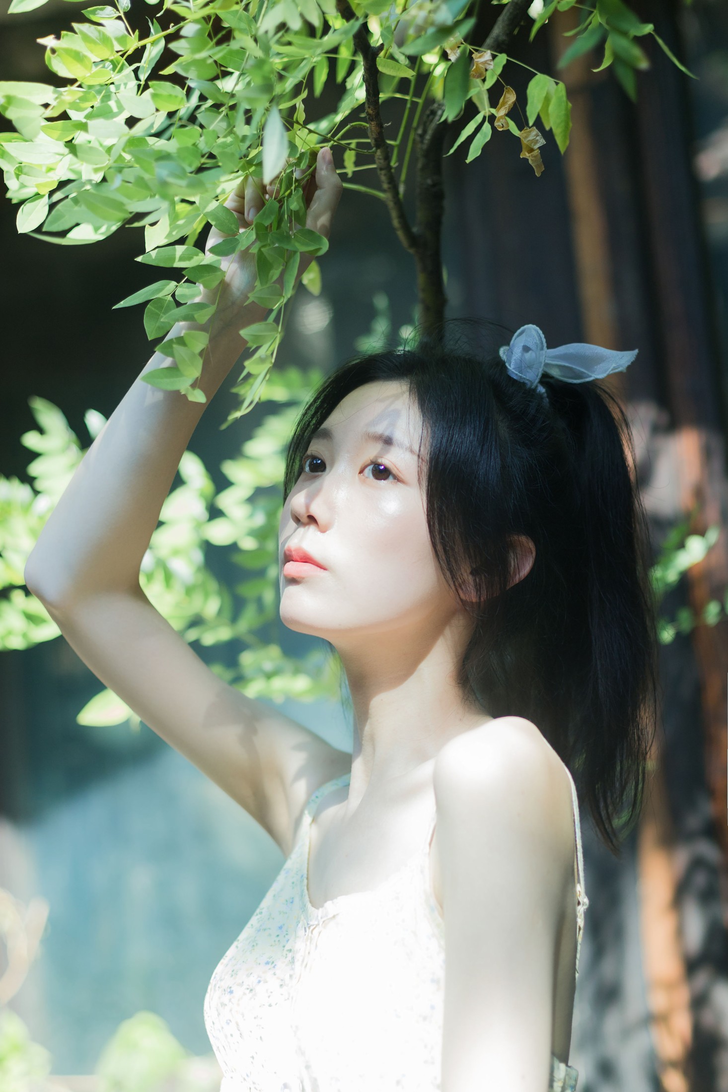 图片[3]-饲猫少女- – 《夏日凌霄》[33P]-COS写真在线网