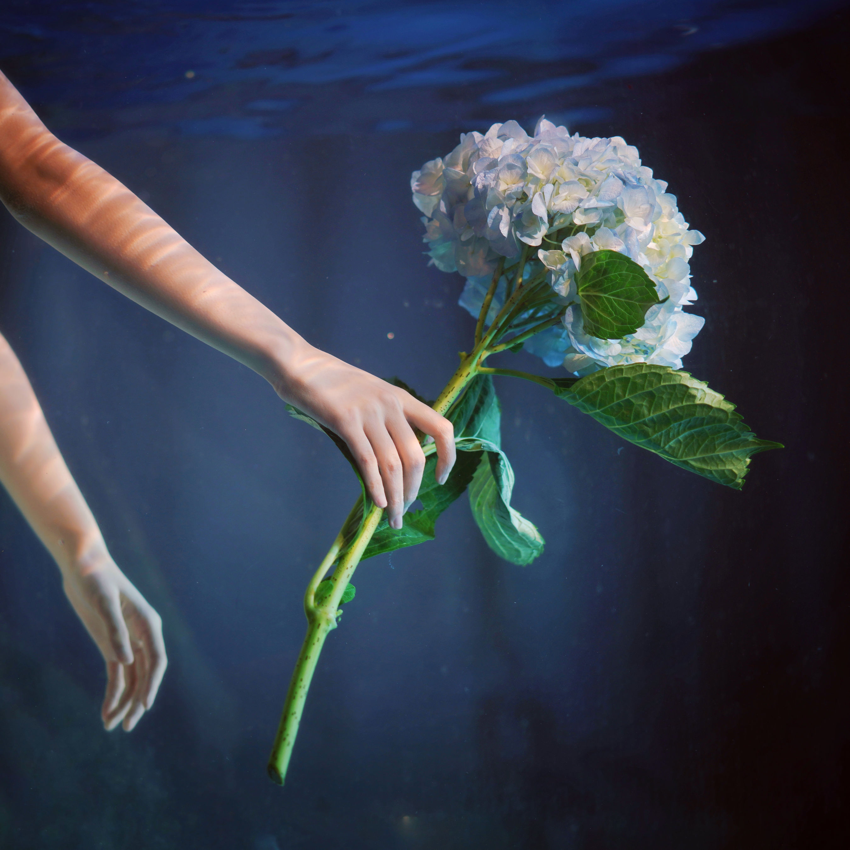 图片[6]-曼球 – 《水底的告白》[28P]-COS写真在线网