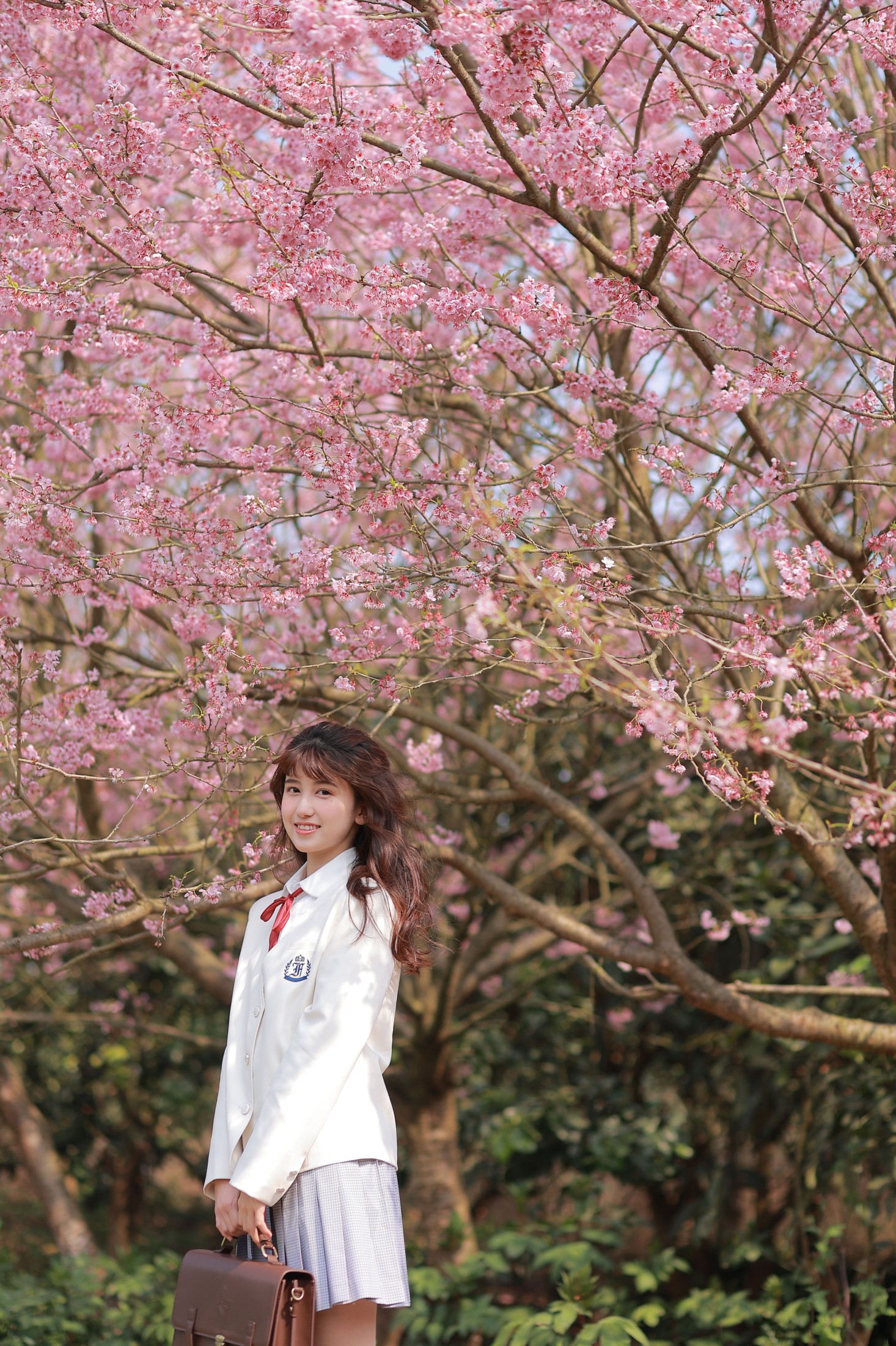 图片[6]-lovelatte11 – 《樱花》[22P]-COS写真在线网