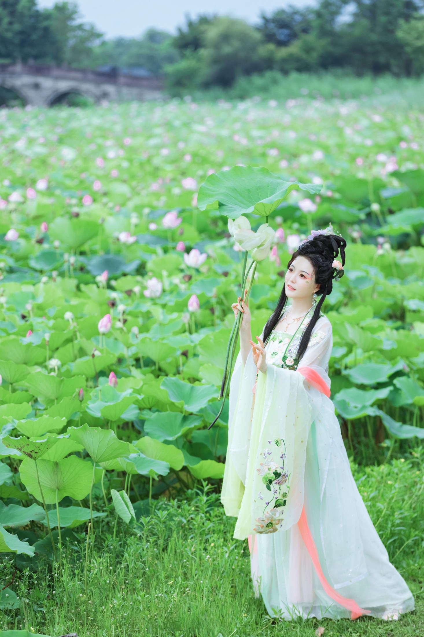 图片[6]-璐璐haley – 《采莲曲》[27P]-COS写真在线网