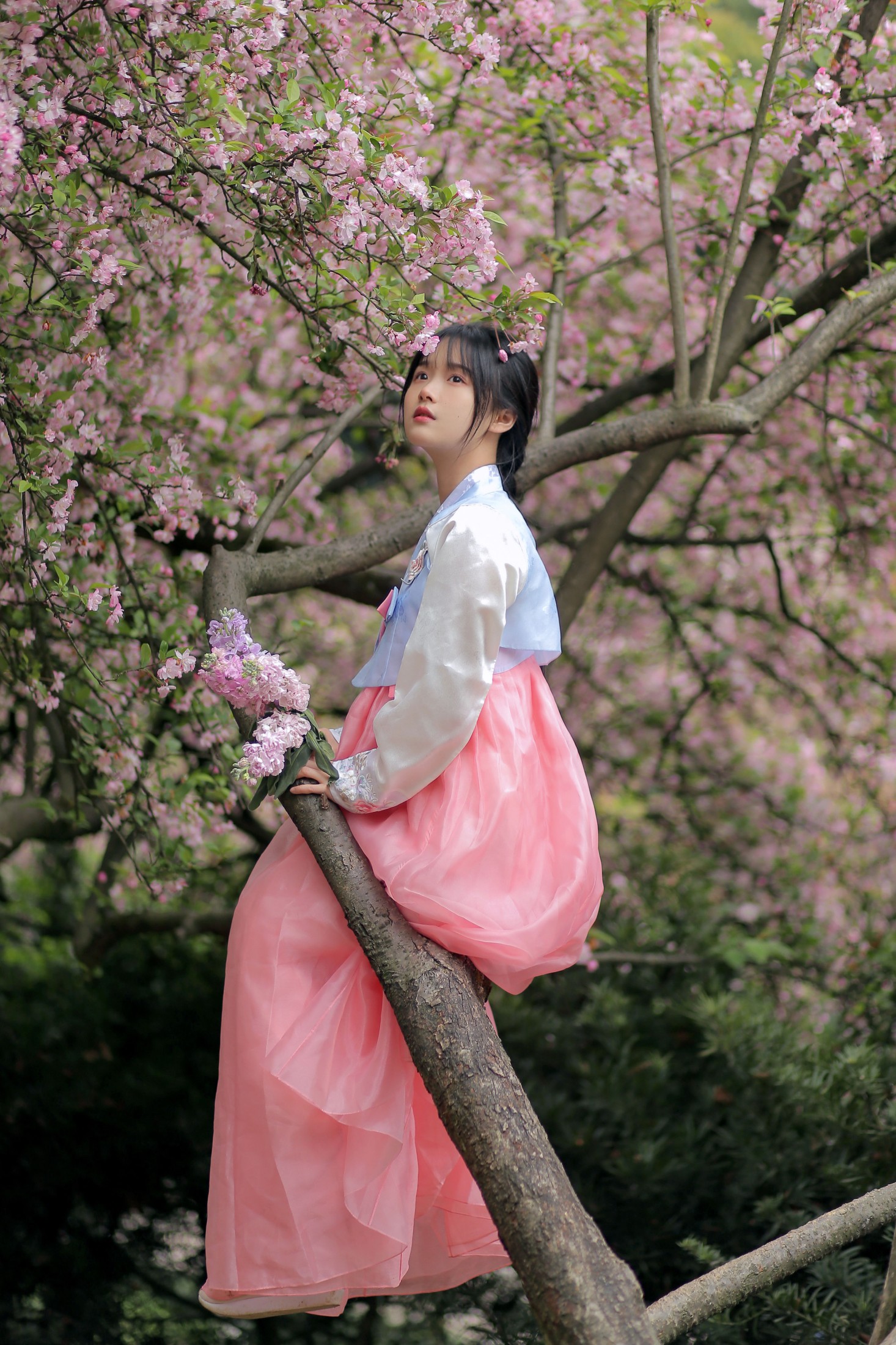 图片[6]-至春禾 – 《春日海棠》[34P]-COS写真在线网