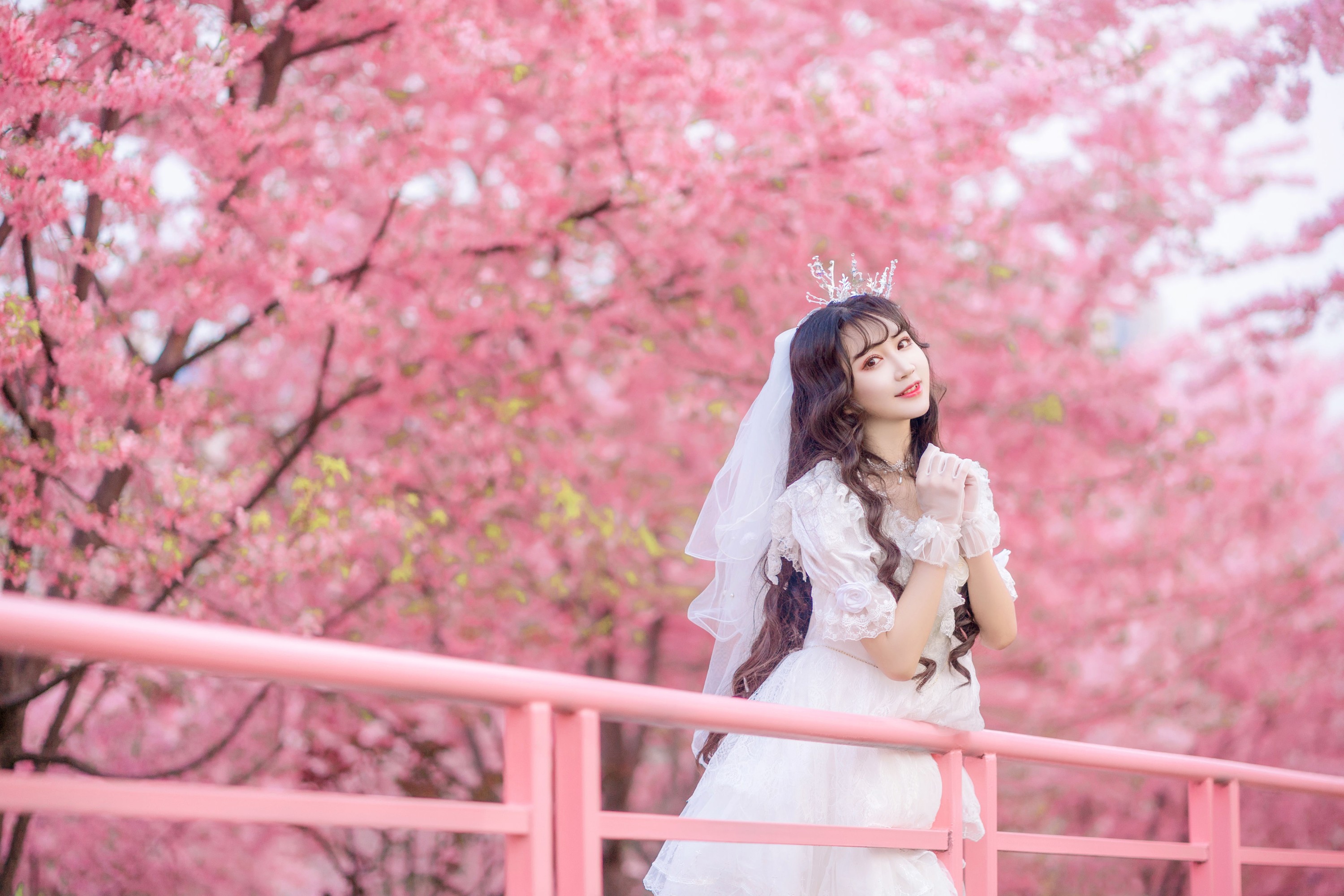 图片[3]-绮罗生的小苏苏 – 《花嫁》[26P]-COS写真在线网