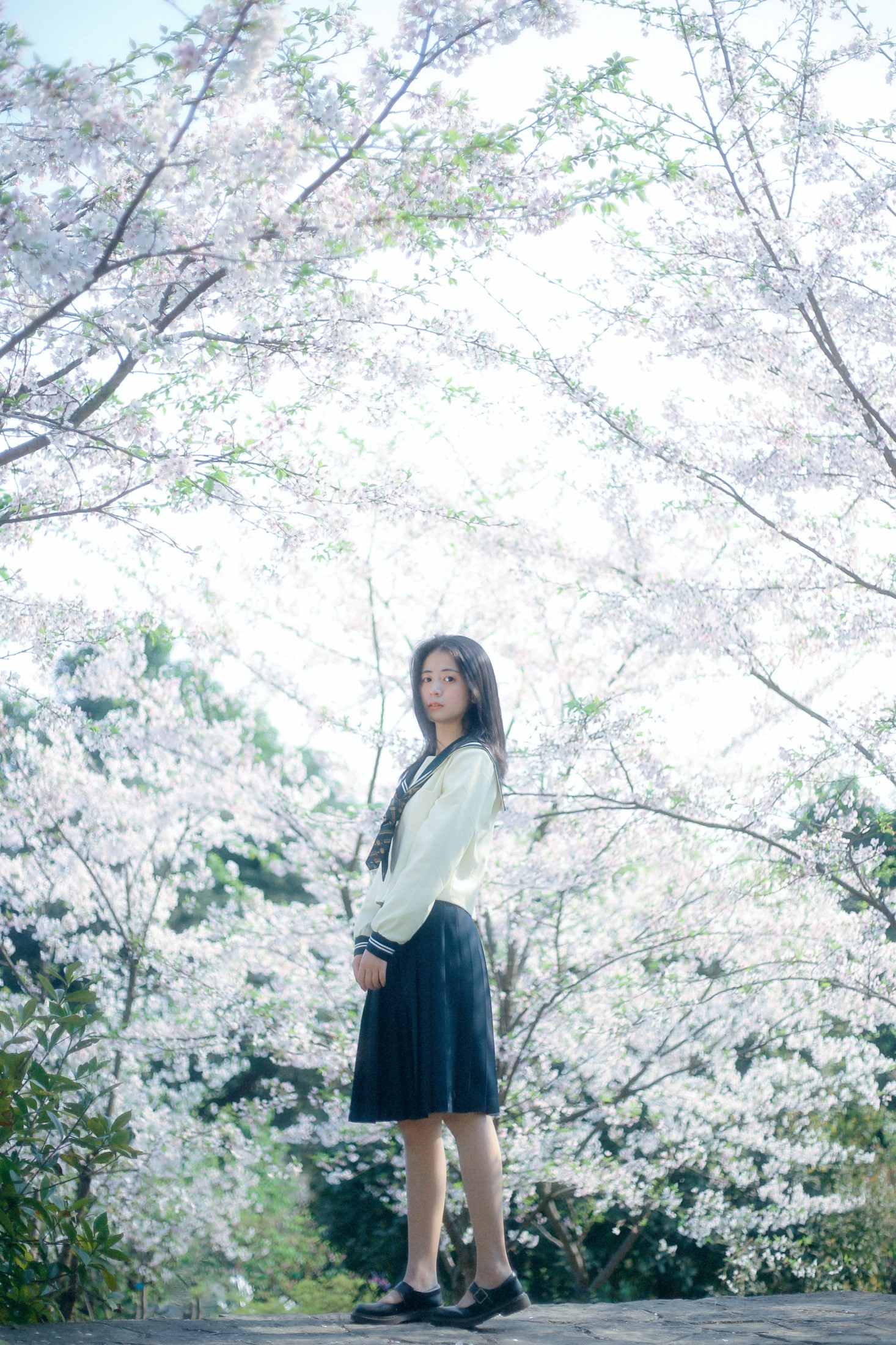 图片[6]-瞳人儿 – 《春日早樱》[22P]-COS写真在线网