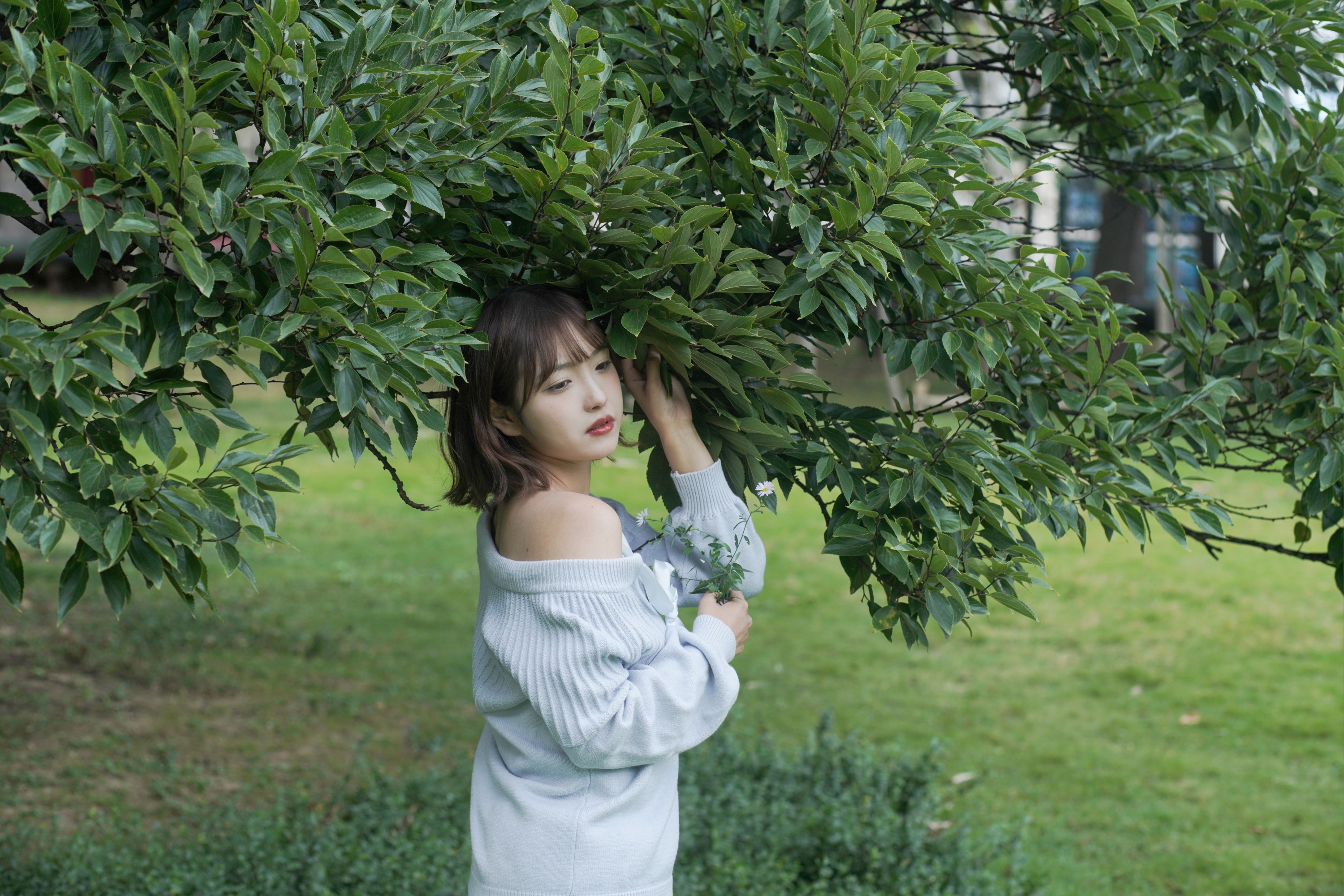 图片[3]--炸鸡冰可乐- – 《绿野微风》[27P]-COS写真在线网