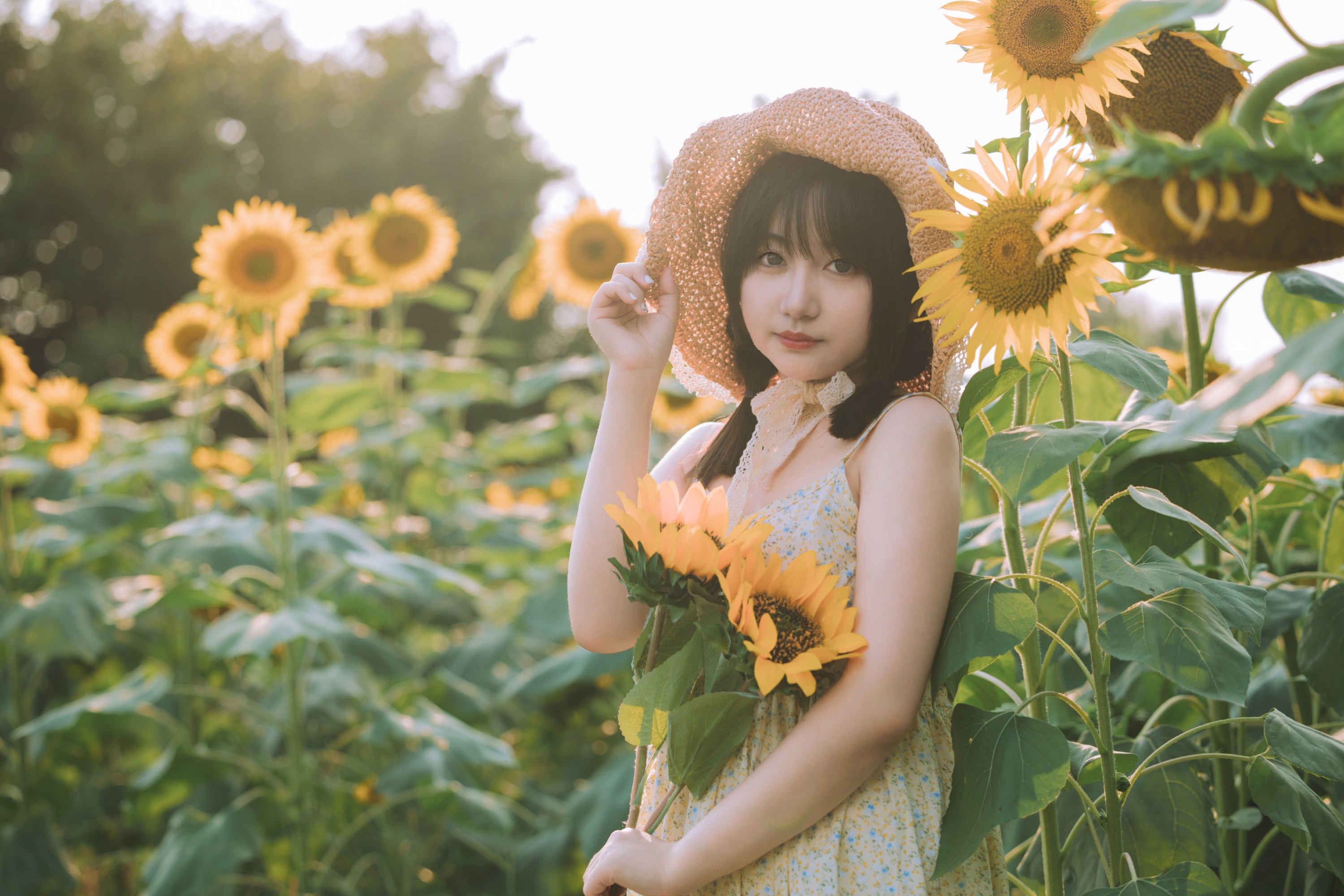 图片[6]-金盏璃 – 《向阳而生》[26P]-COS写真在线网