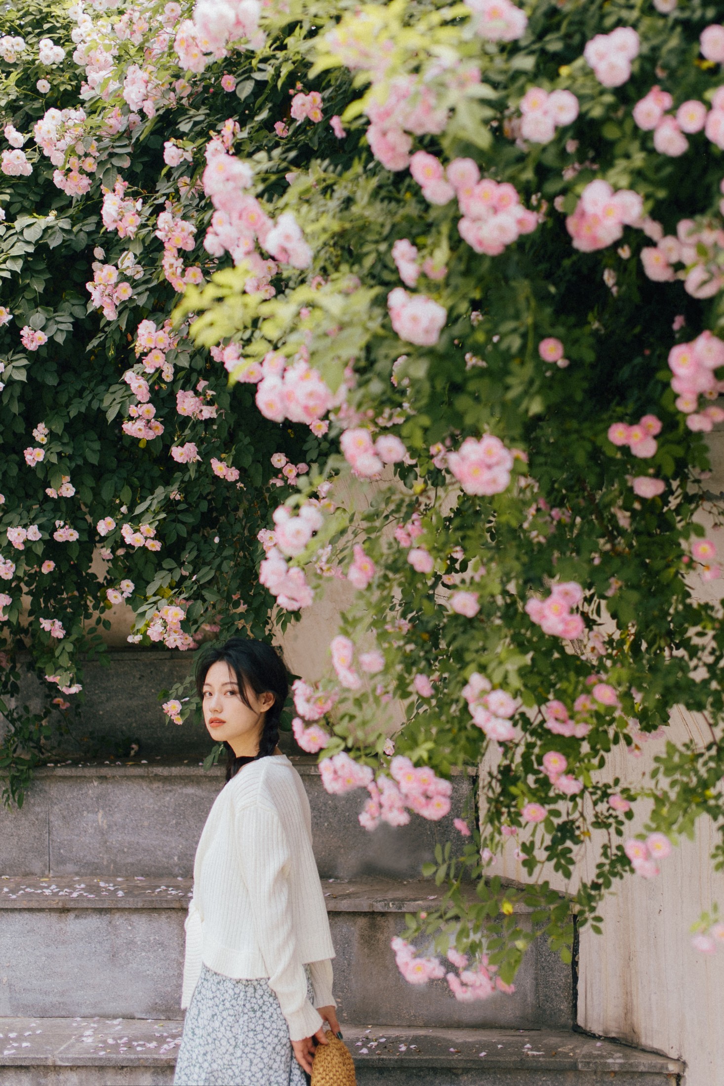 图片[6]-九月 – 《蔷薇》[27P]-COS写真在线网