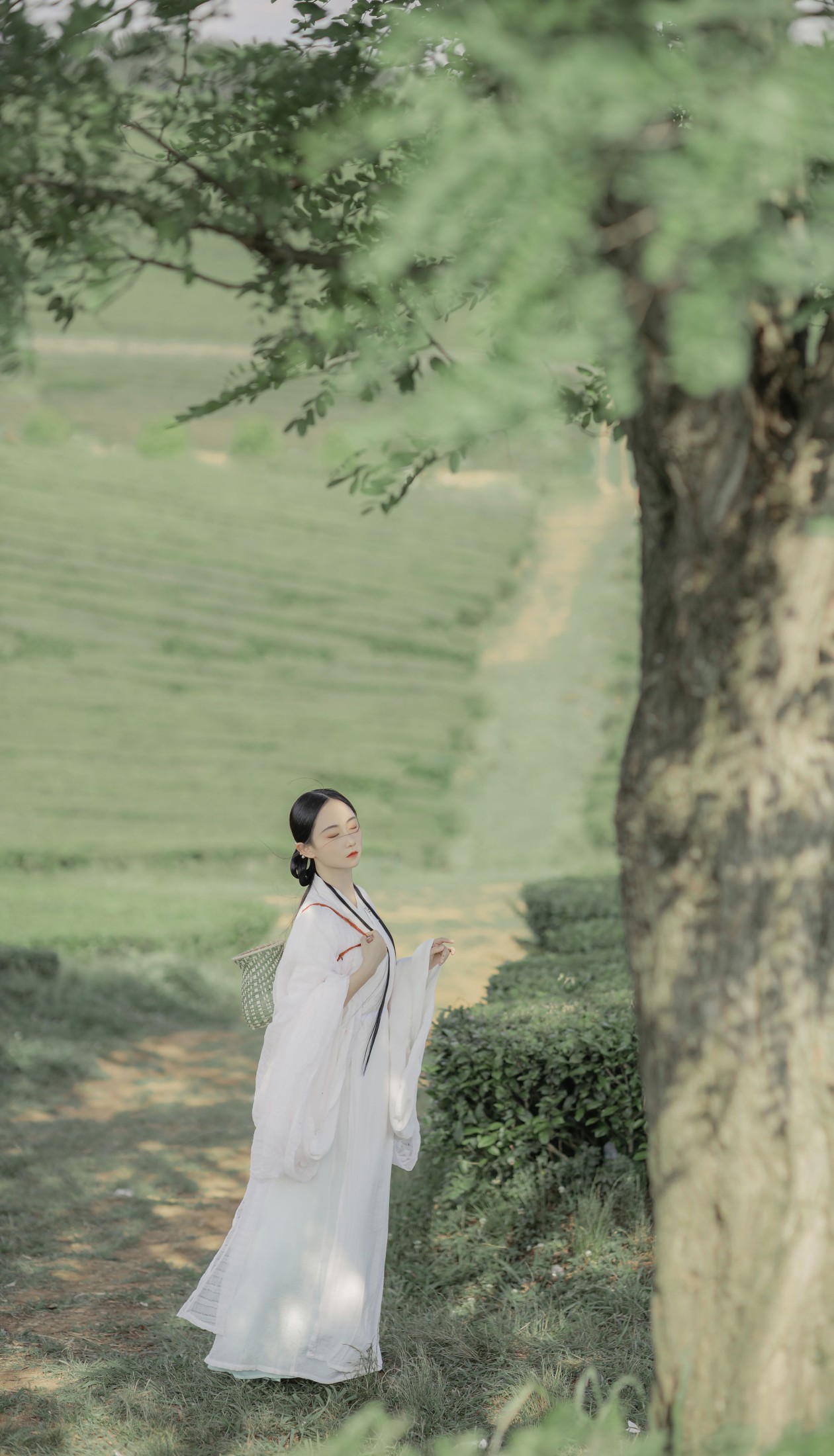 图片[6]-灿暖暖暖 – 《衣袖染茶香》[20P]-COS写真在线网