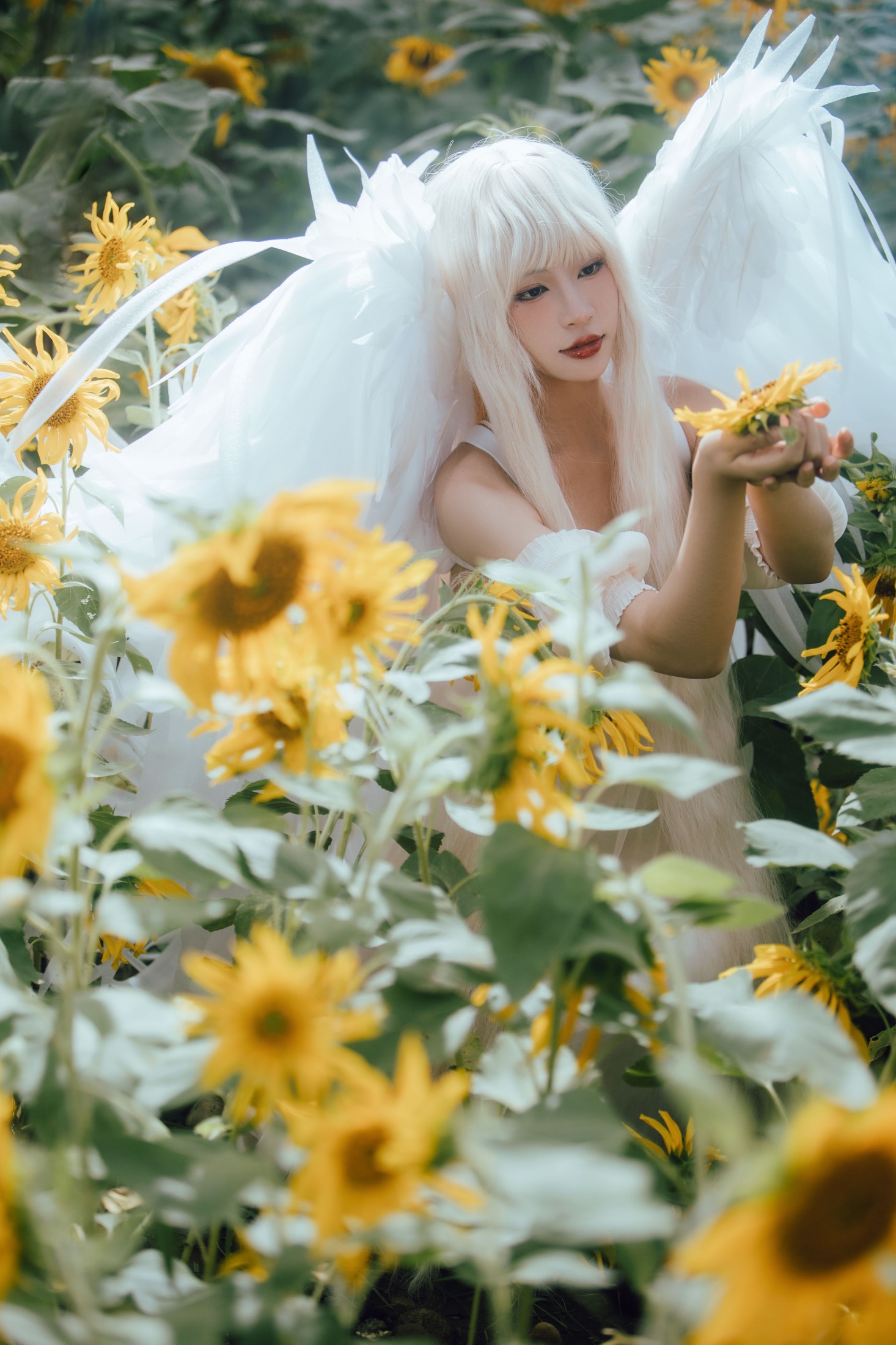 图片[6]-双翮 – 《孤鸟》[21P]-COS写真在线网