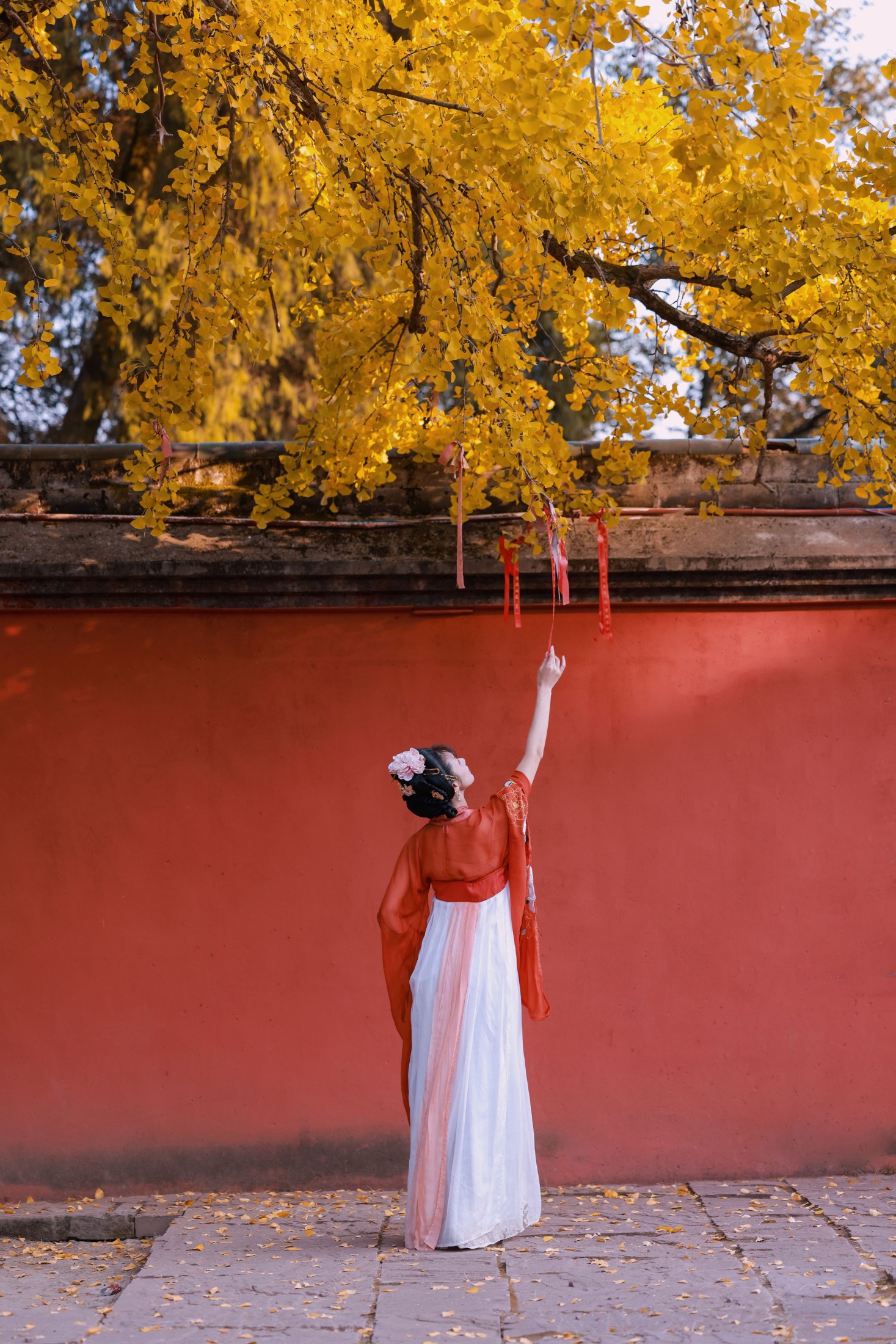 图片[6]-木哥 – 《银杏》[20P]-COS写真在线网