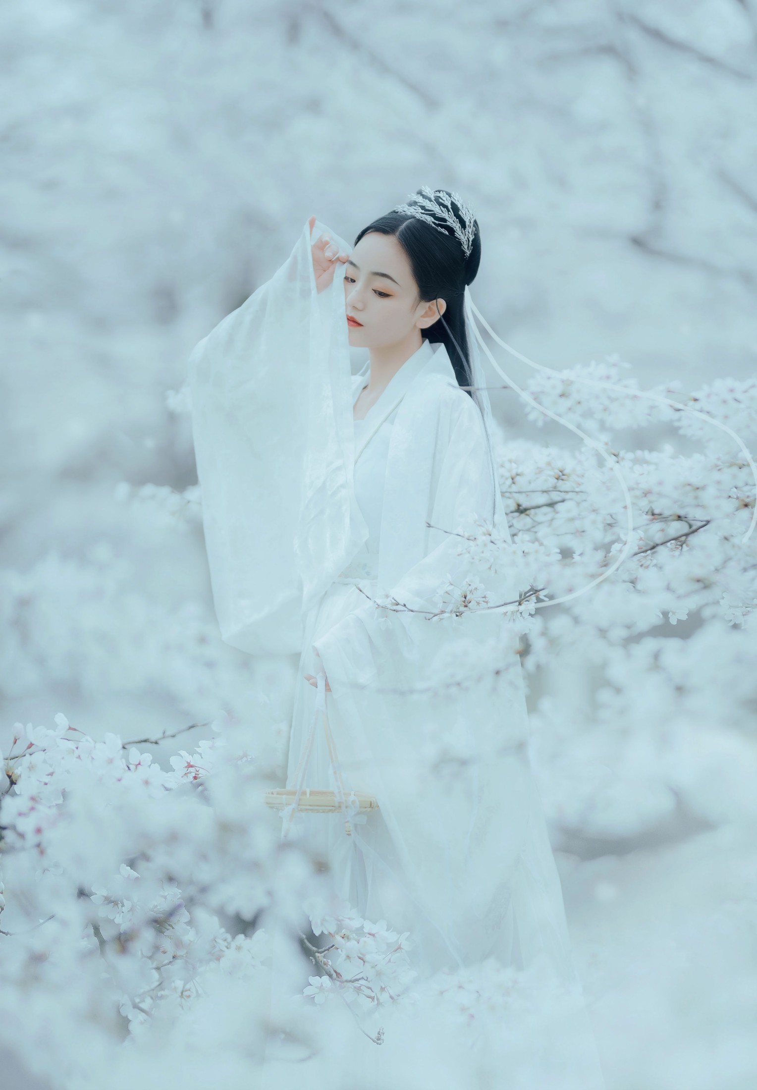 图片[6]-穆婕 – 《樱吹雪》[25P]-COS写真在线网