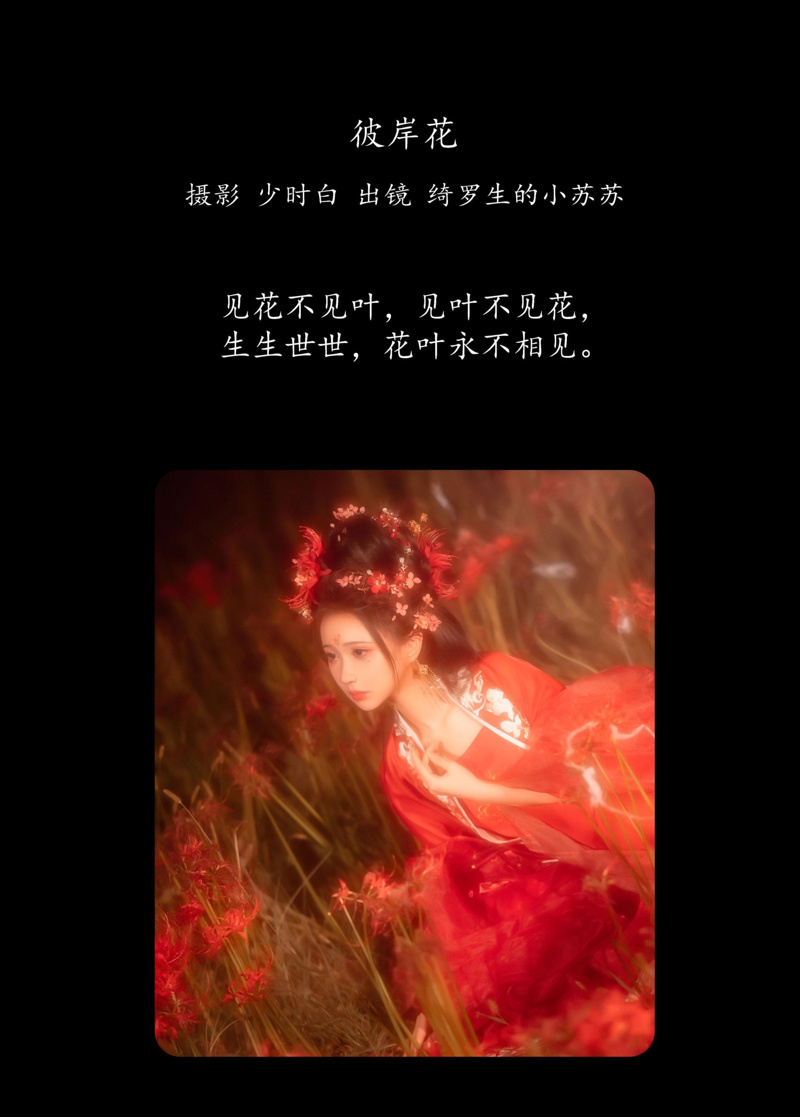 图片[2]-绮罗生的小苏苏 – 《彼岸花》[32P]-COS写真在线网