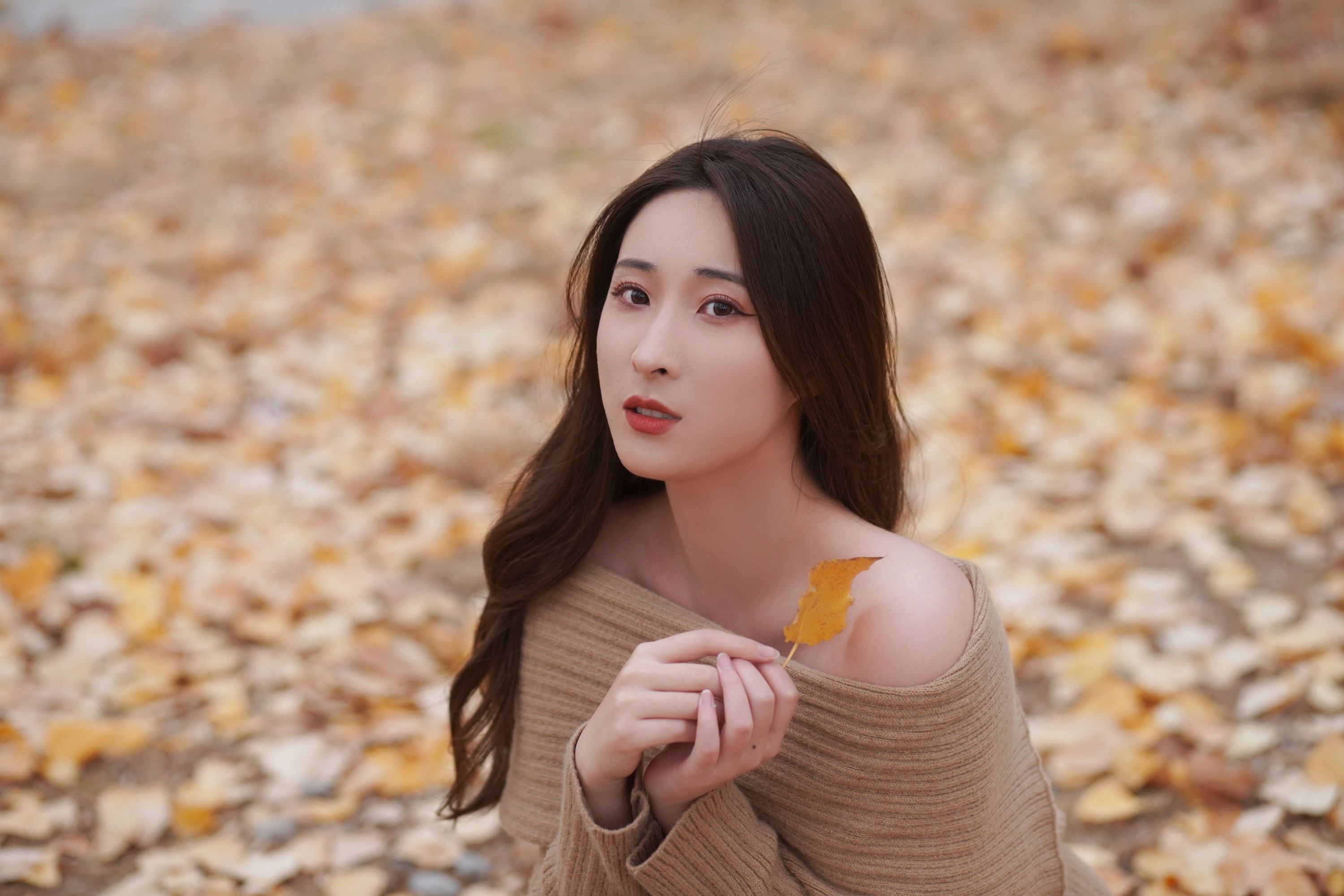 阿音 – 《叶落知秋》[26P] 插图5