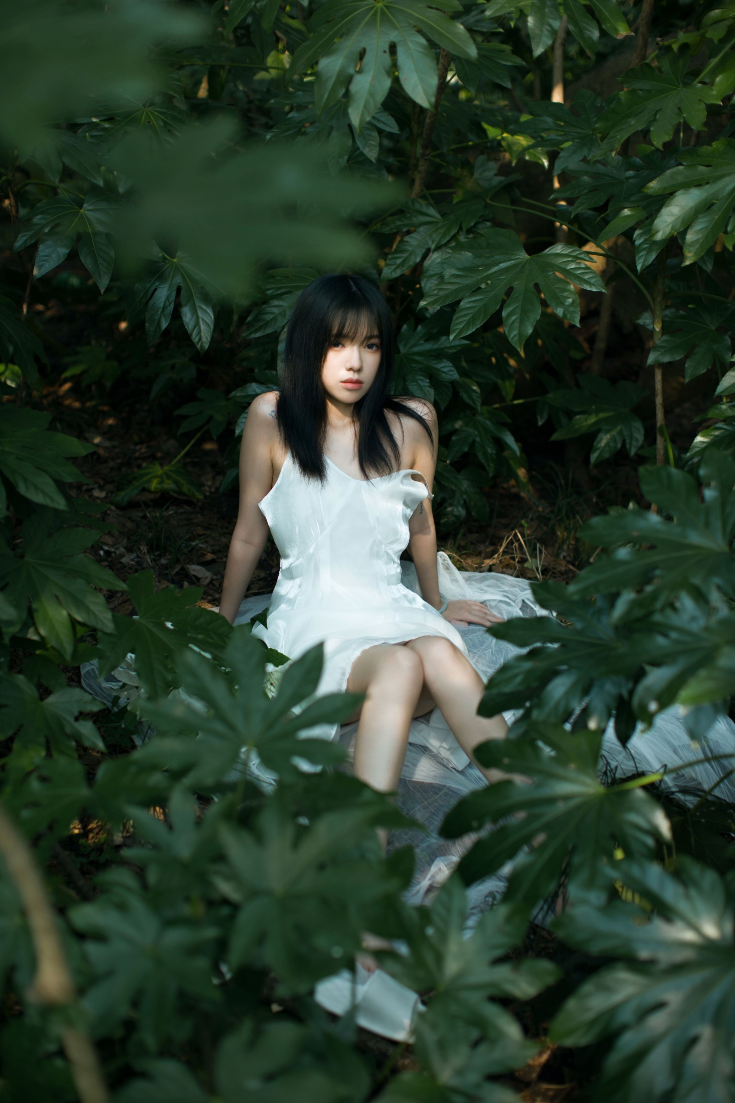 图片[6]-唧唧 – 《绿野仙踪》[23P]-COS写真在线网