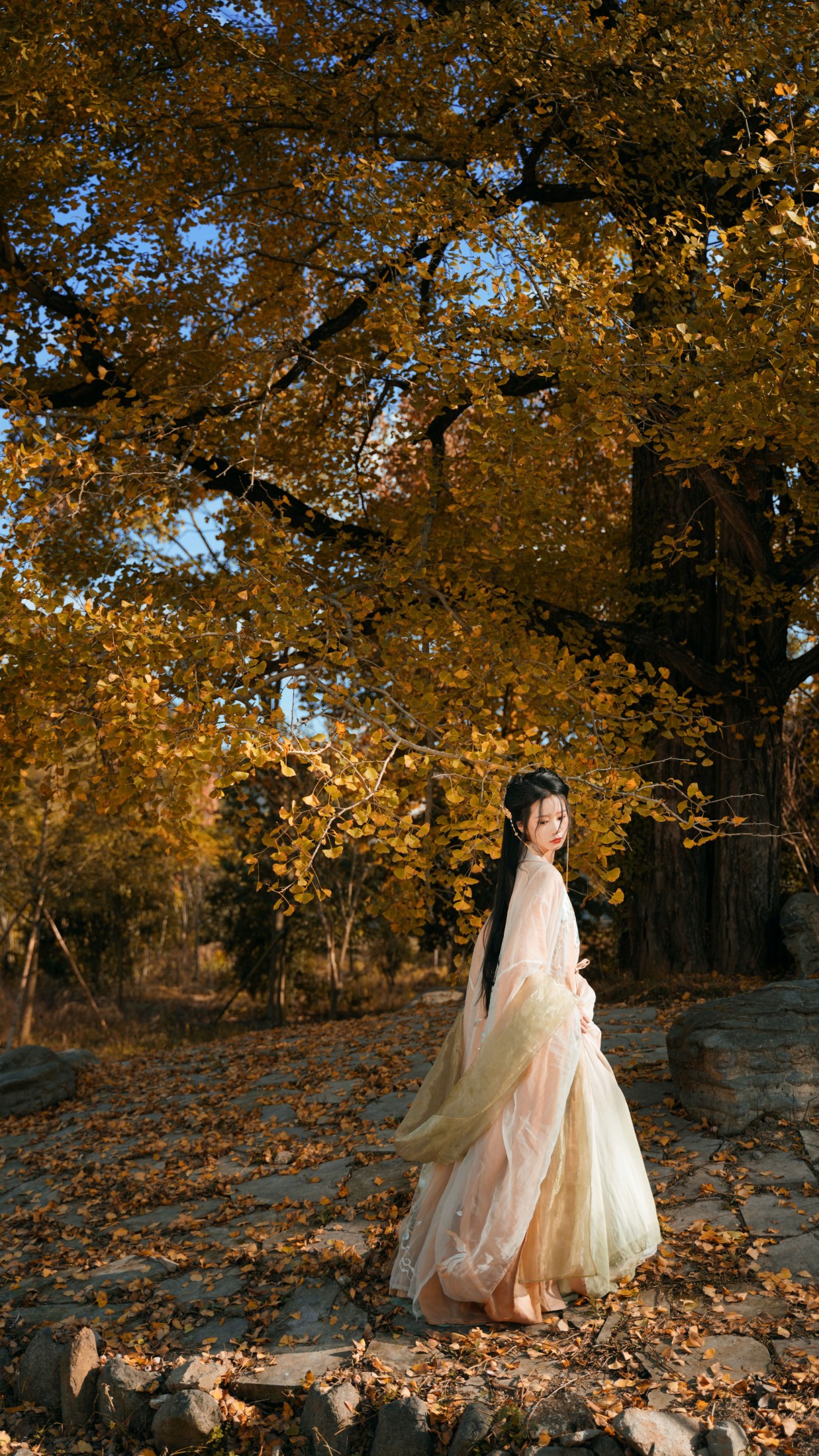 图片[5]-橙子舒 – 《银杏树下》[39P]-COS写真在线网