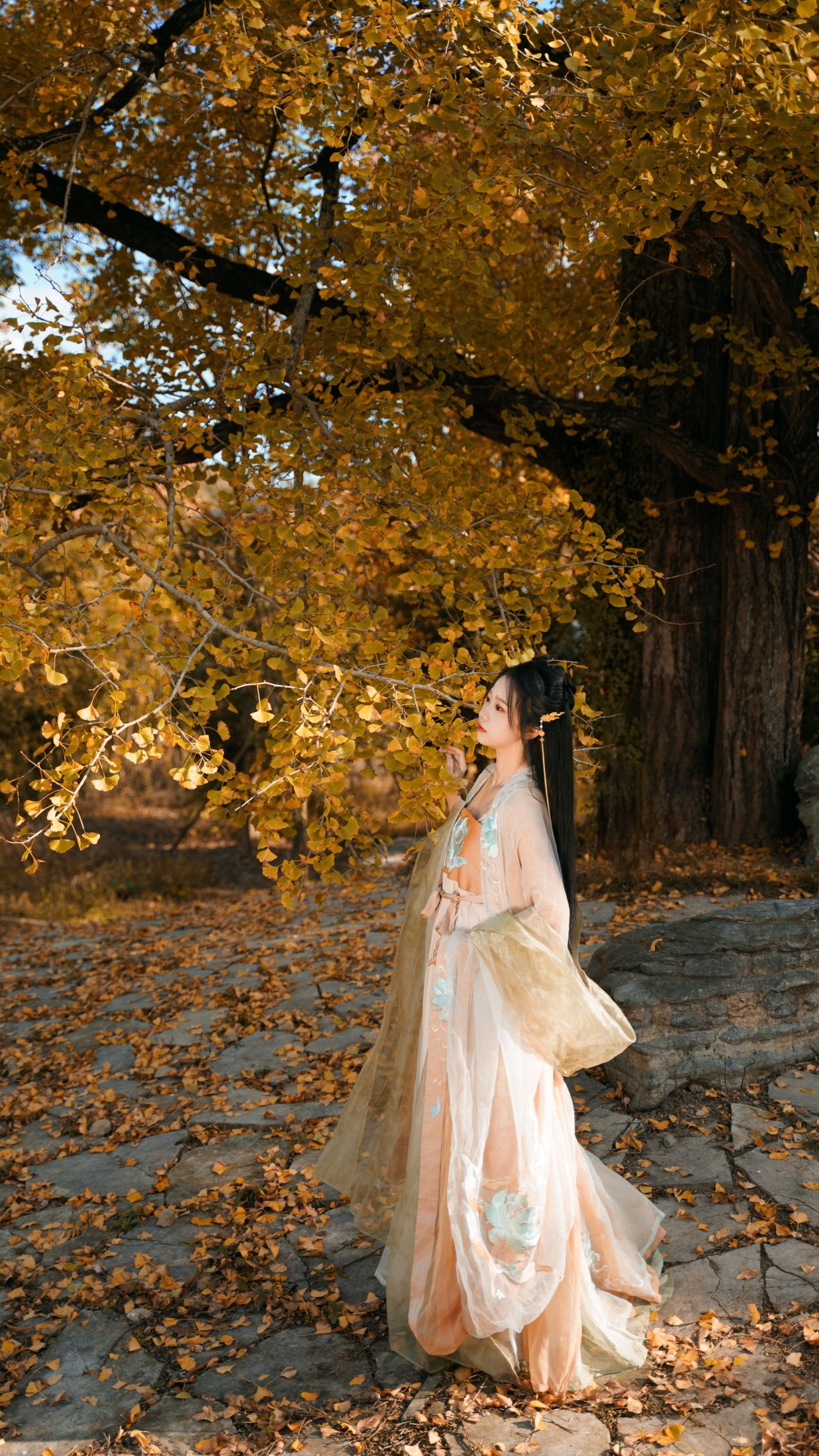 图片[3]-橙子舒 – 《银杏树下》[39P]-COS写真在线网