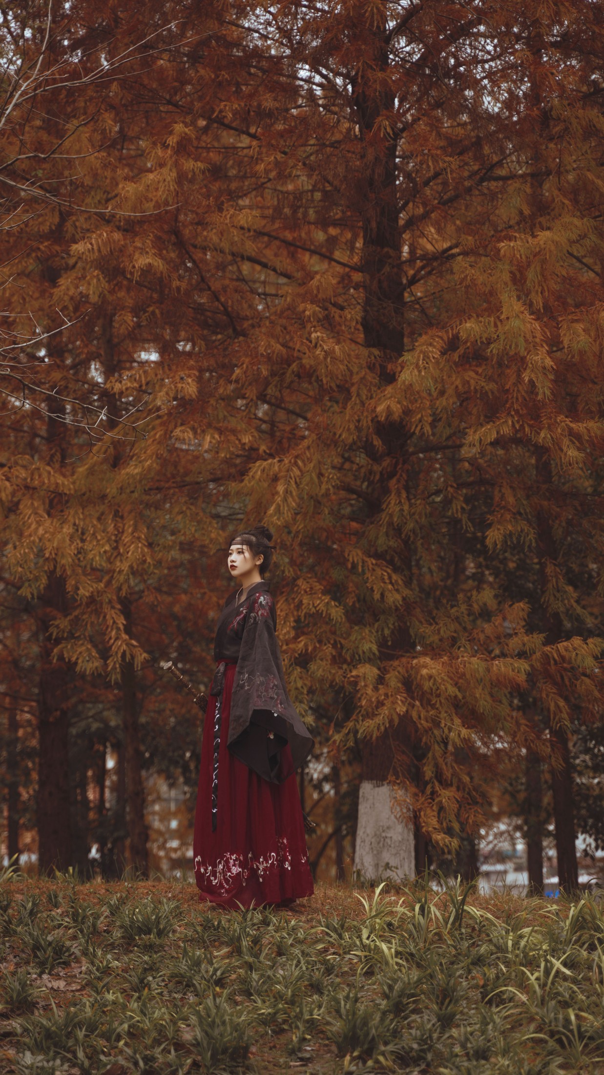 图片[4]-橙子舒 – 《红杉林》[30P]-COS写真在线网