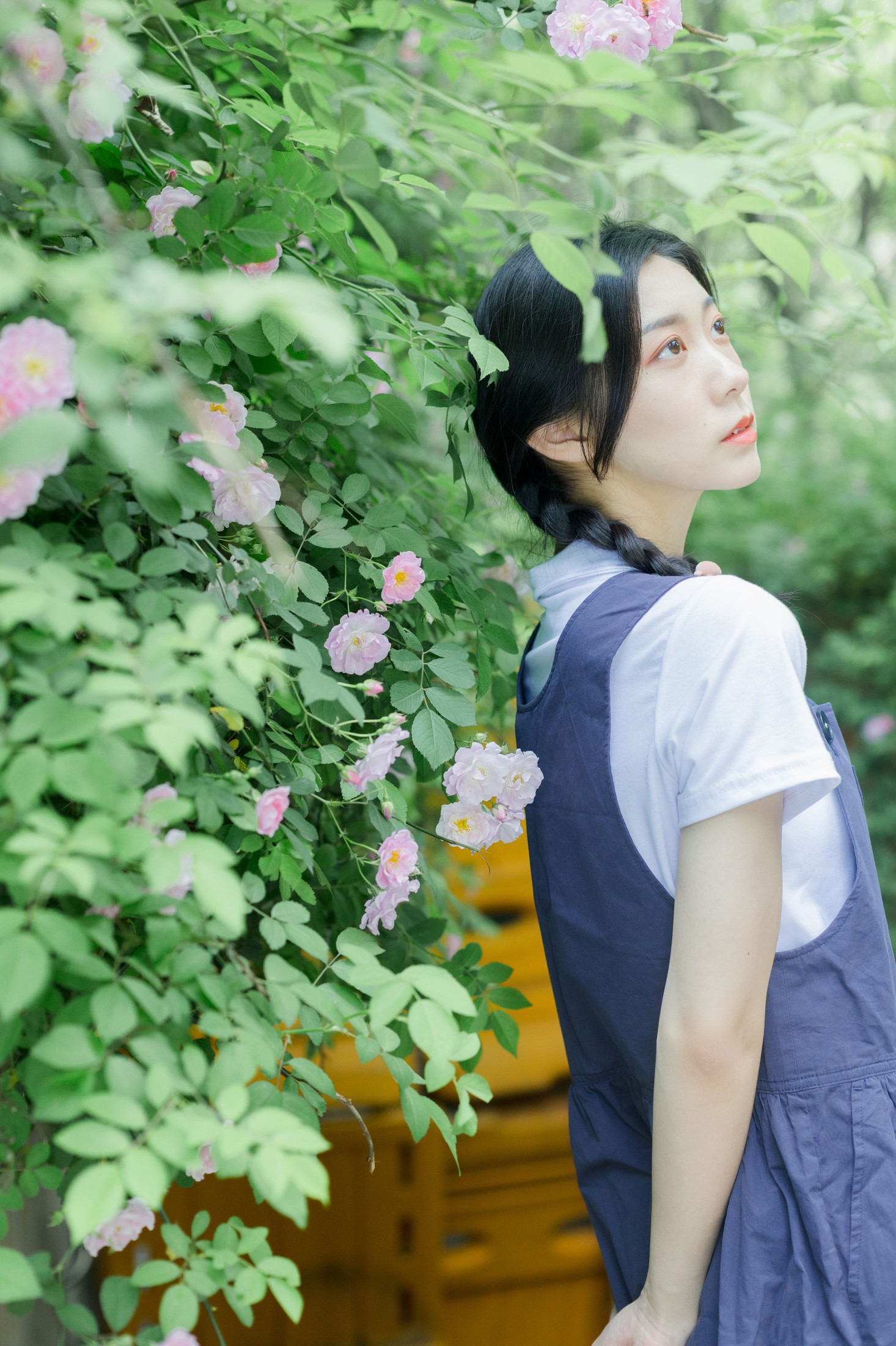 图片[6]-饲猫少女- – 《除了春天和蔷薇》[26P]-COS写真在线网