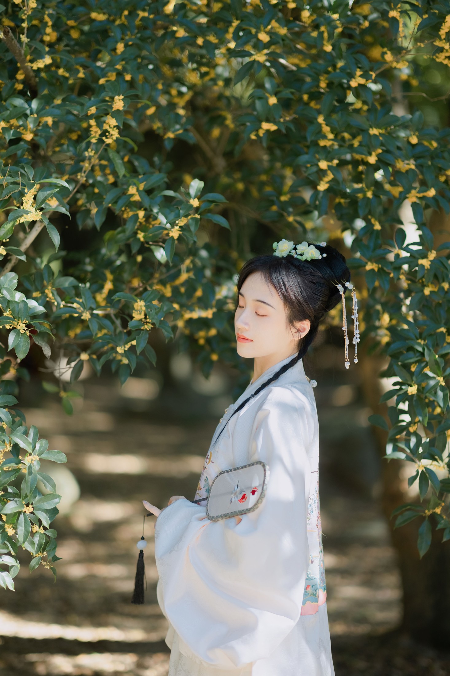 图片[6]-方莛玉 – 《折桂令》[33P]-COS写真在线网