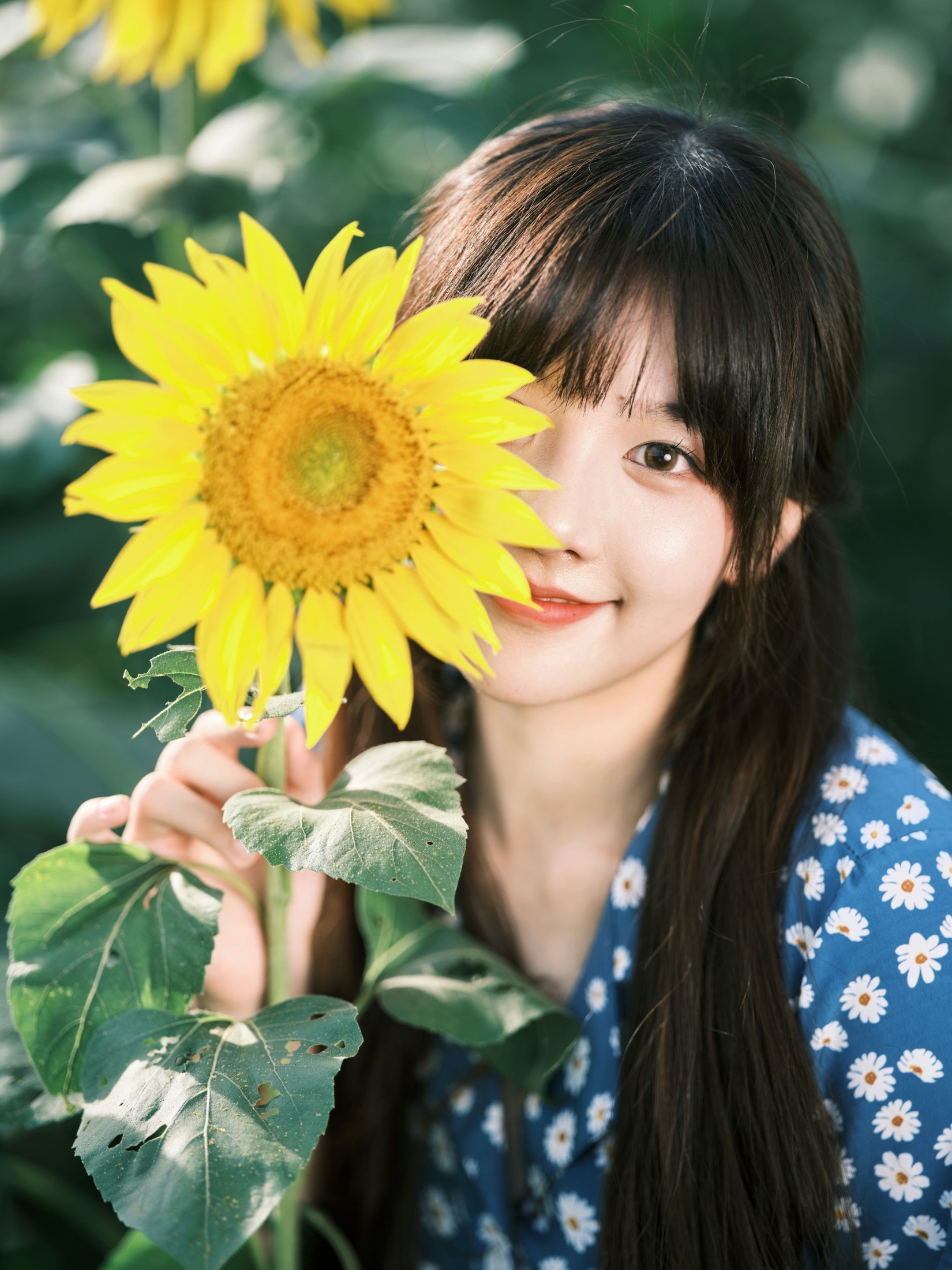 图片[6]-宵宵喵 – 《向日葵》[28P]-COS写真在线网