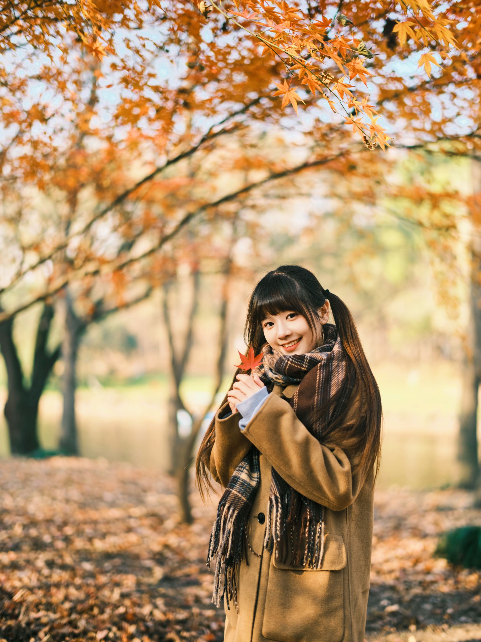 图片[6]-宵宵喵 – 《枫》[34P]-COS写真在线网