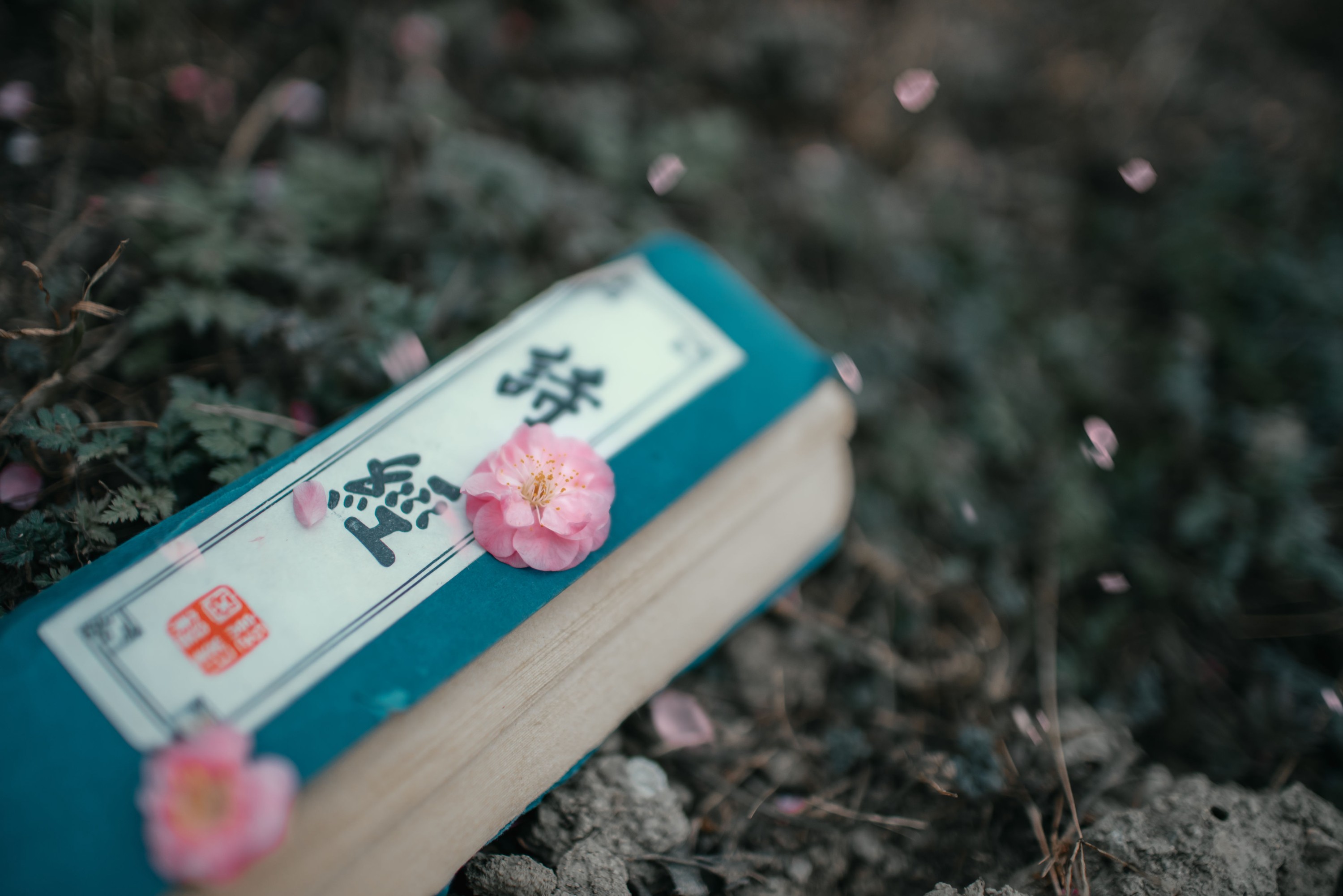 图片[6]-颜如玉 – 《惹春风》[44P]-COS写真在线网