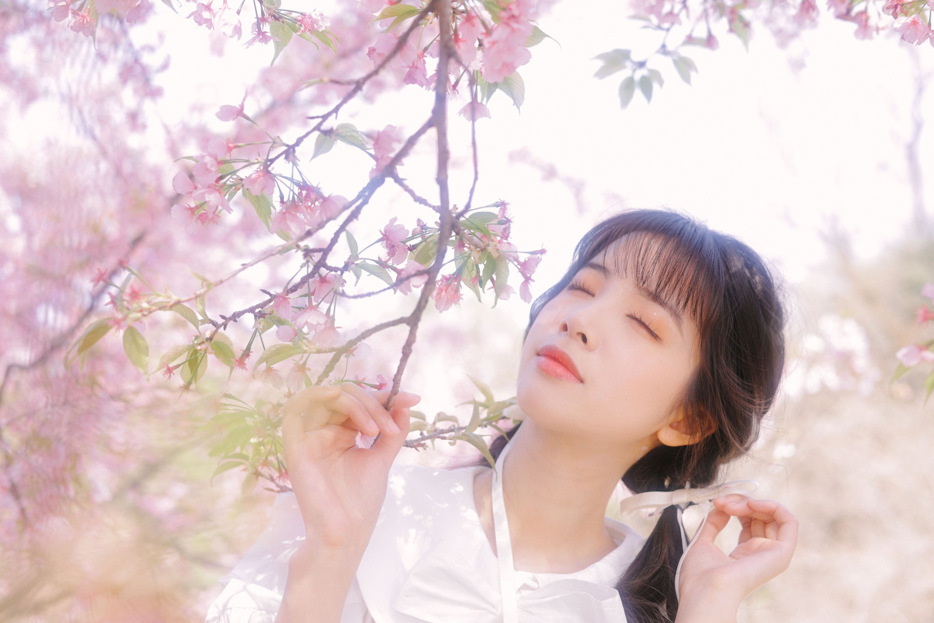 图片[3]-一只阿梦崽 – 《粉樱》[29P]-COS写真在线网