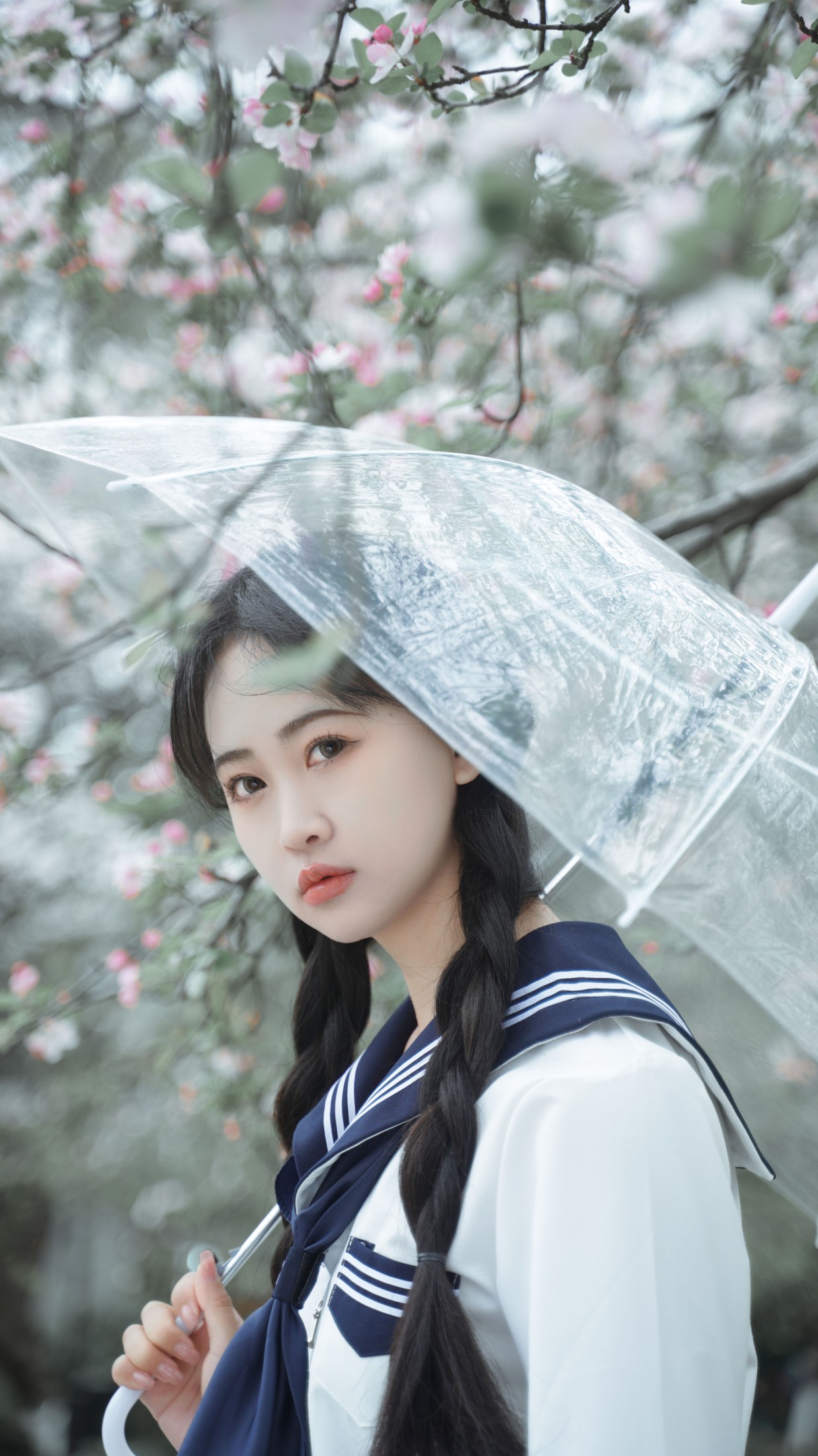 图片[3]-湫一只岁岁 – 《樱花》[27P]-COS写真在线网