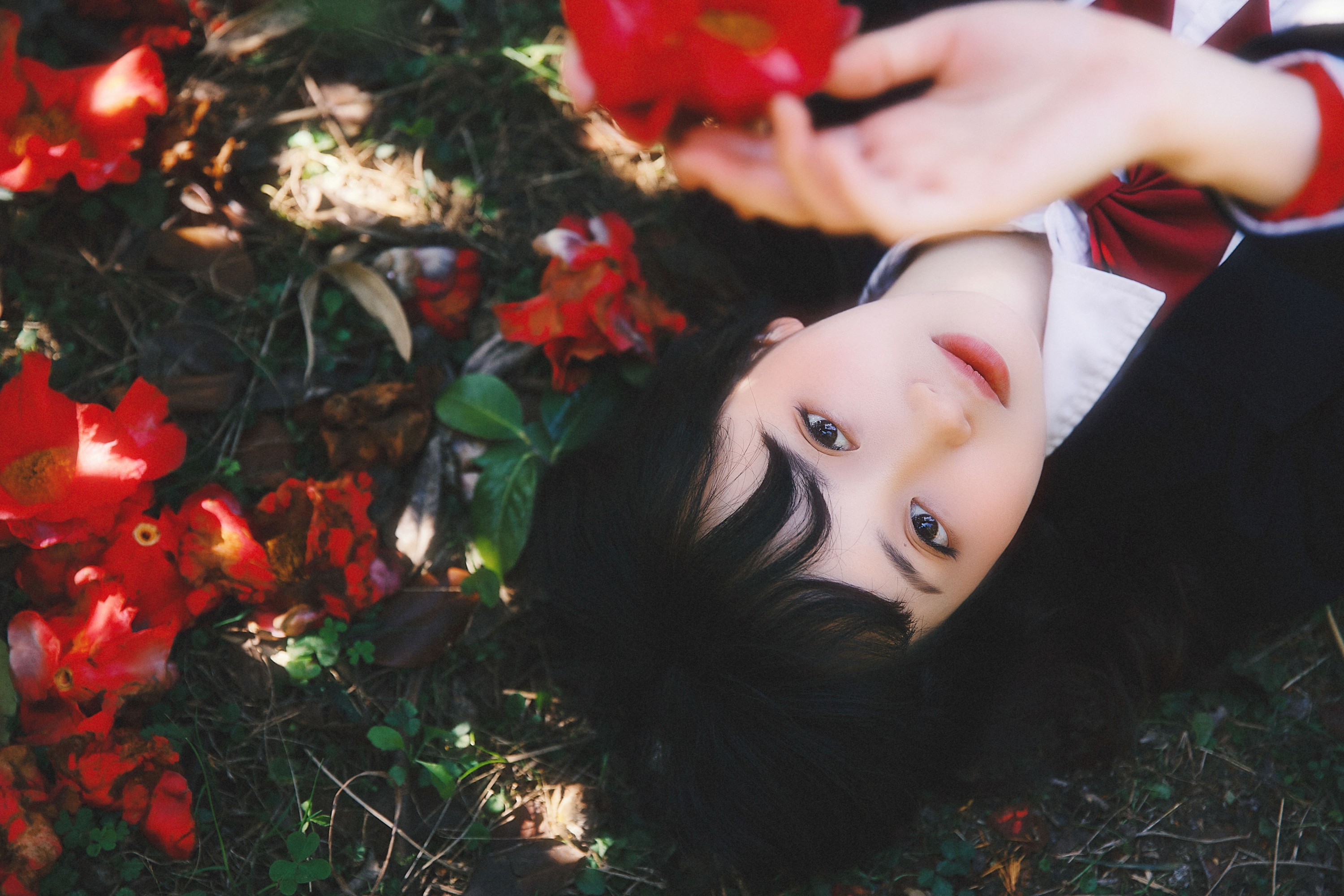 图片[6]-natasha – 《山茶花又开》[27P]-COS写真在线网