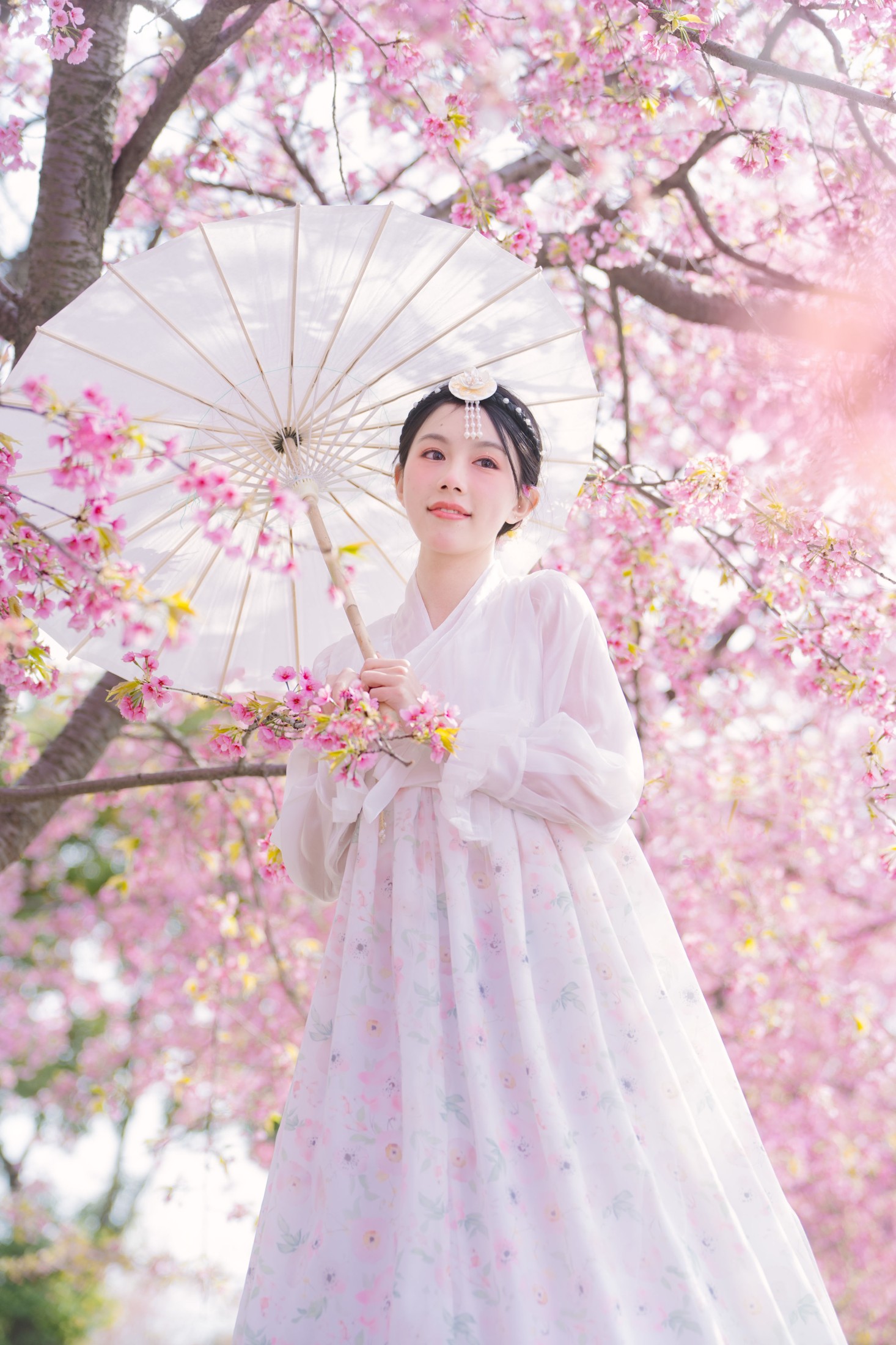 图片[6]-初初 – 《延边公主樱花祭》[22P]-COS写真在线网