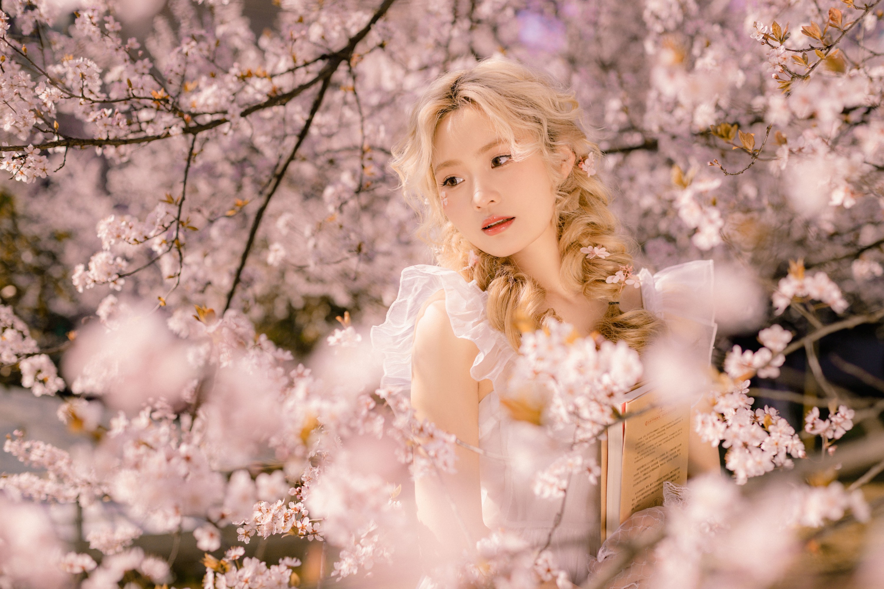 图片[6]-羔丽代 – 《樱花树下的春意》[22P]-COS写真在线网