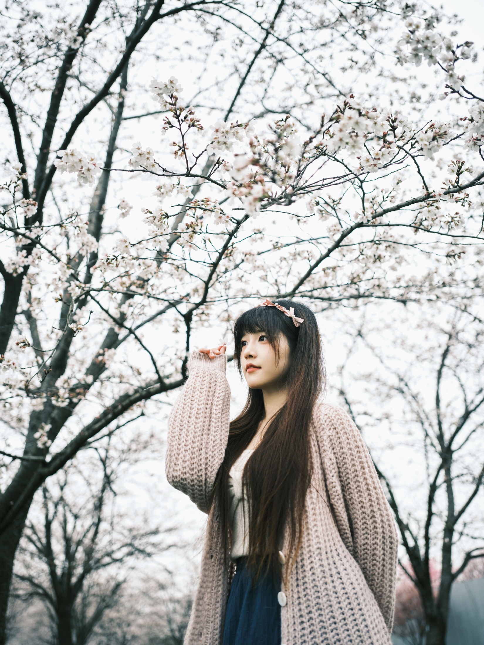 图片[6]-宵宵喵 – 《染井吉野樱》[78P]-COS写真在线网