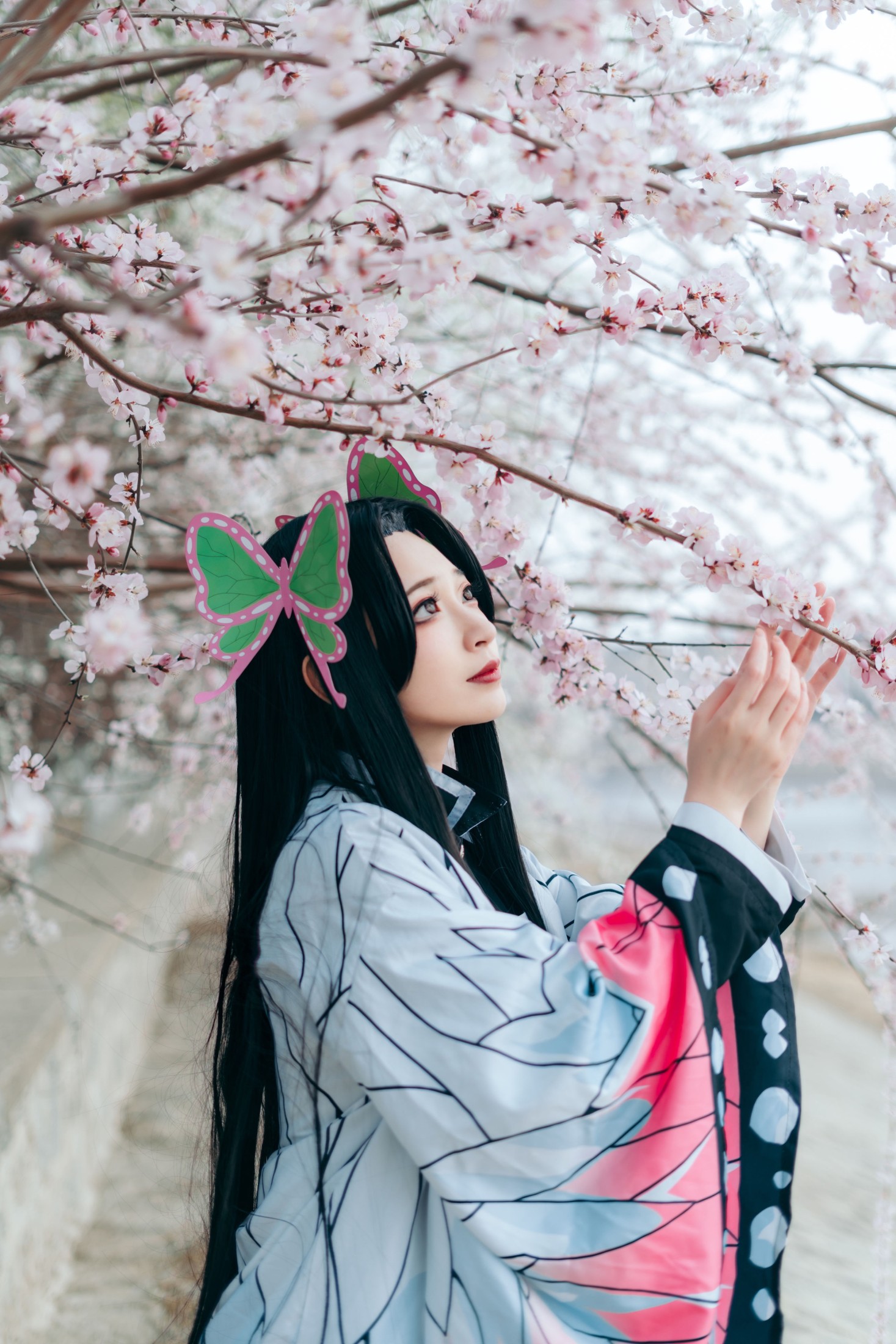 图片[5]-桃墨公子x – 《蝴蝶香奈惠》[22P]-COS写真在线网