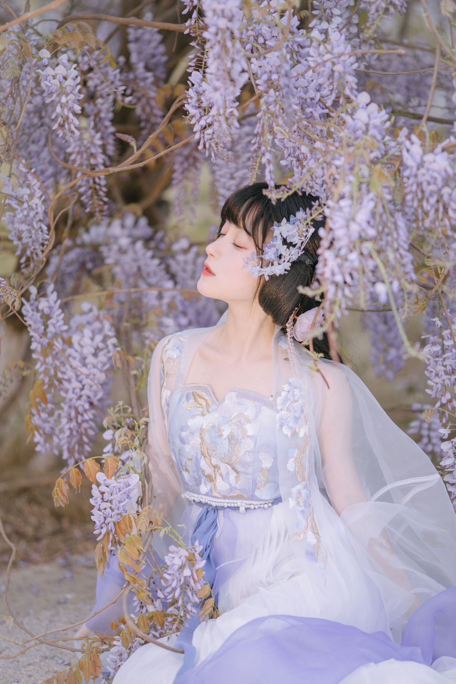 图片[6]-麻辣孔雀 – 《紫藤小花仙》[20P]-COS写真在线网