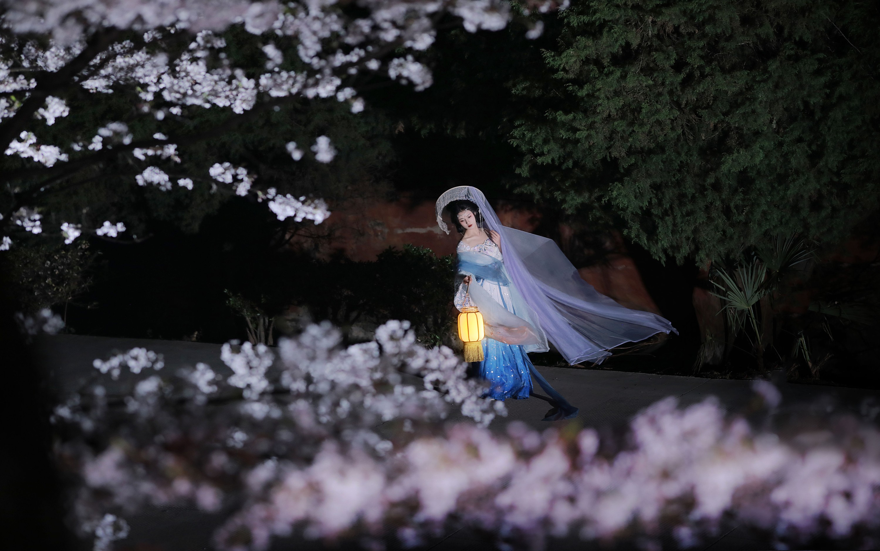 图片[6]-吾岁岁 – 《林下漏月光，疏疏如残雪》[28P]-COS写真在线网