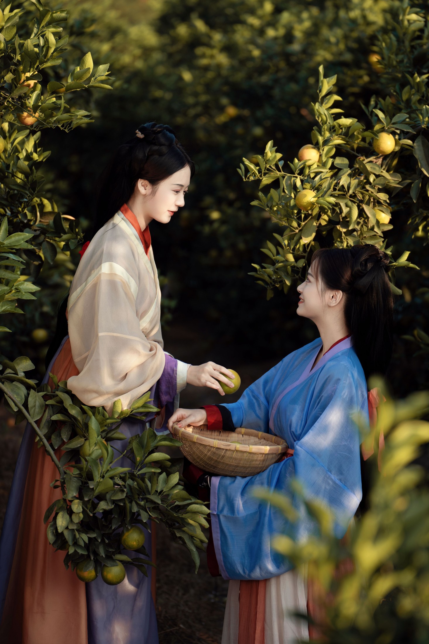 图片[6]-薯片yoyi – 《采橘》[22P]-COS写真在线网