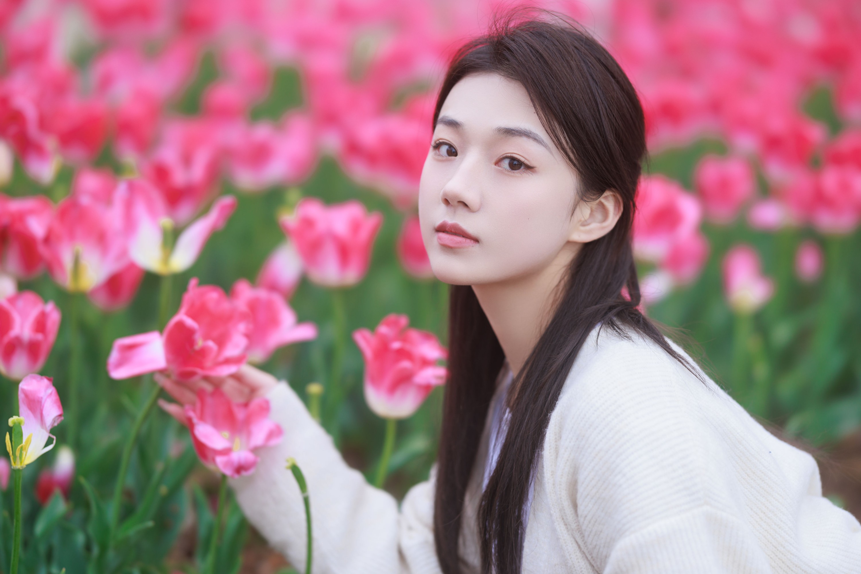 图片[3]-裴同学 – 《郁金香拍照》[28P]-COS写真在线网