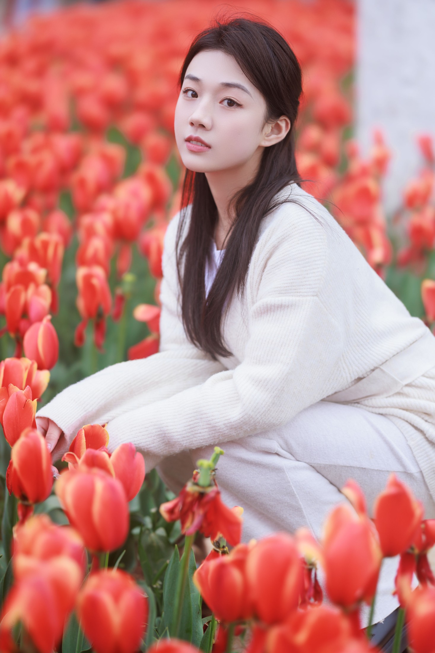 图片[6]-裴同学 – 《郁金香拍照》[28P]-COS写真在线网