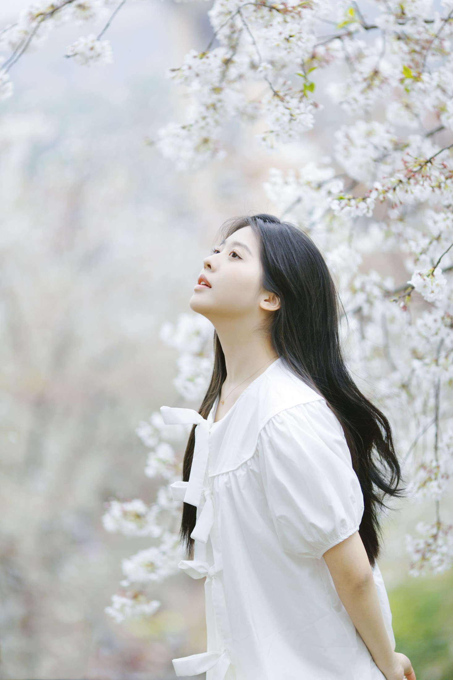 图片[6]-Z_Solla – 《樱花落下的瞬间》[20P]-COS写真在线网