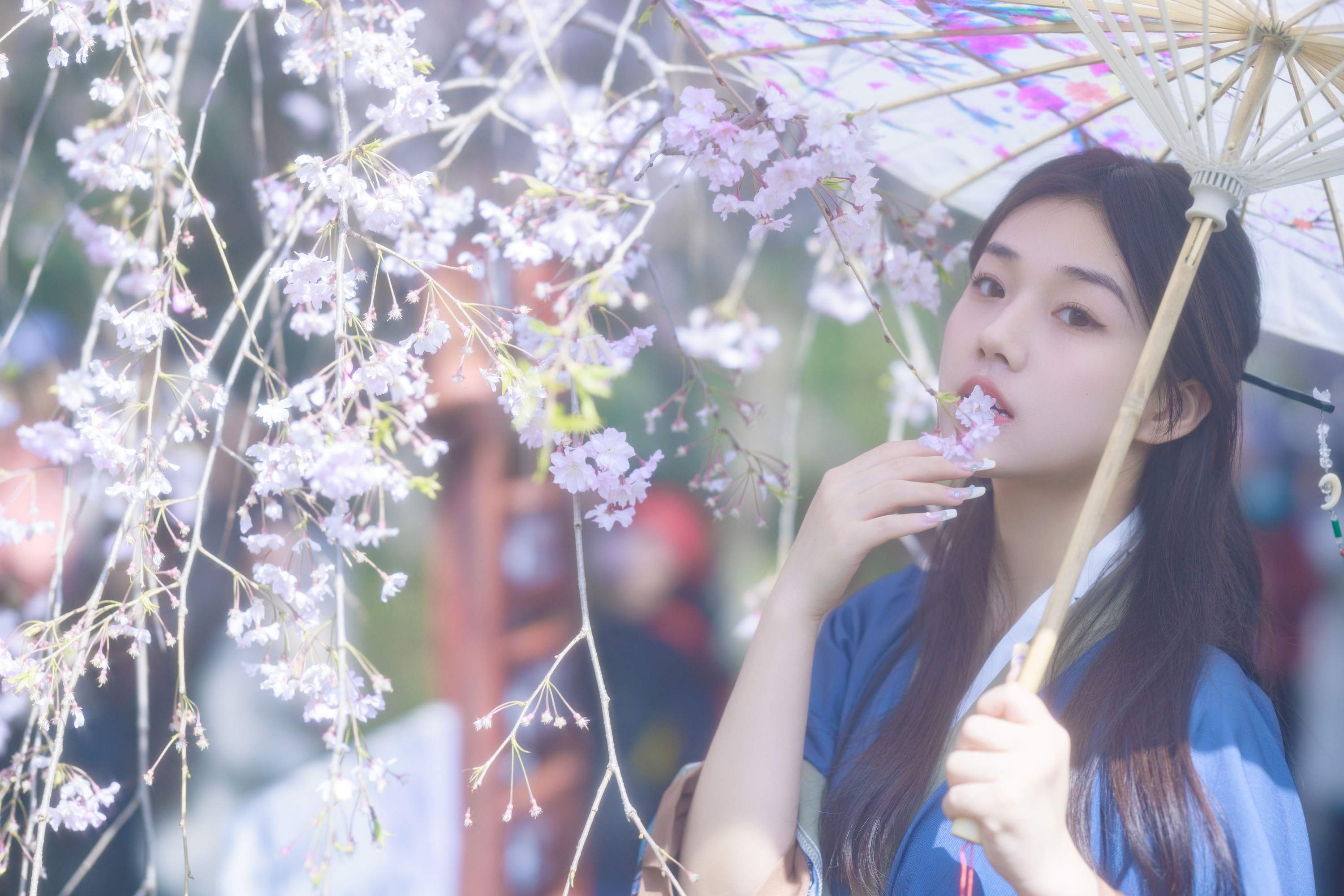 图片[4]-裴同学 – 《垂樱》[22P]-COS写真在线网