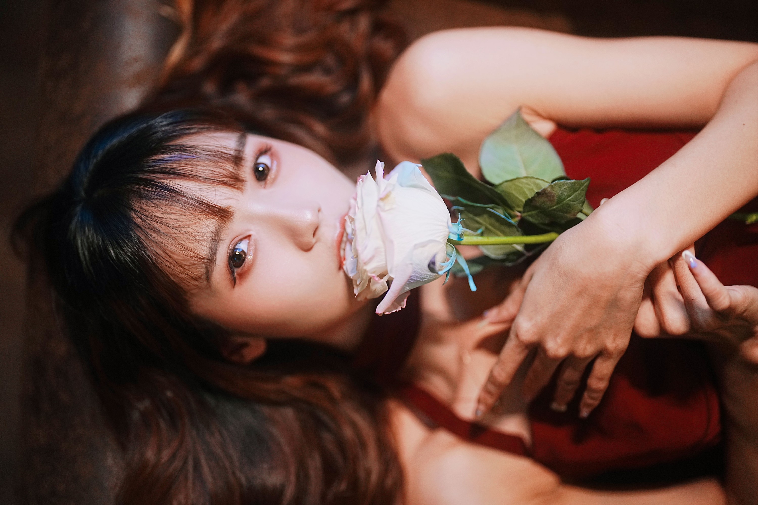 图片[5]-兔子Zzz不吃胡萝卜 – 《心动玫瑰》[22P]-COS写真在线网