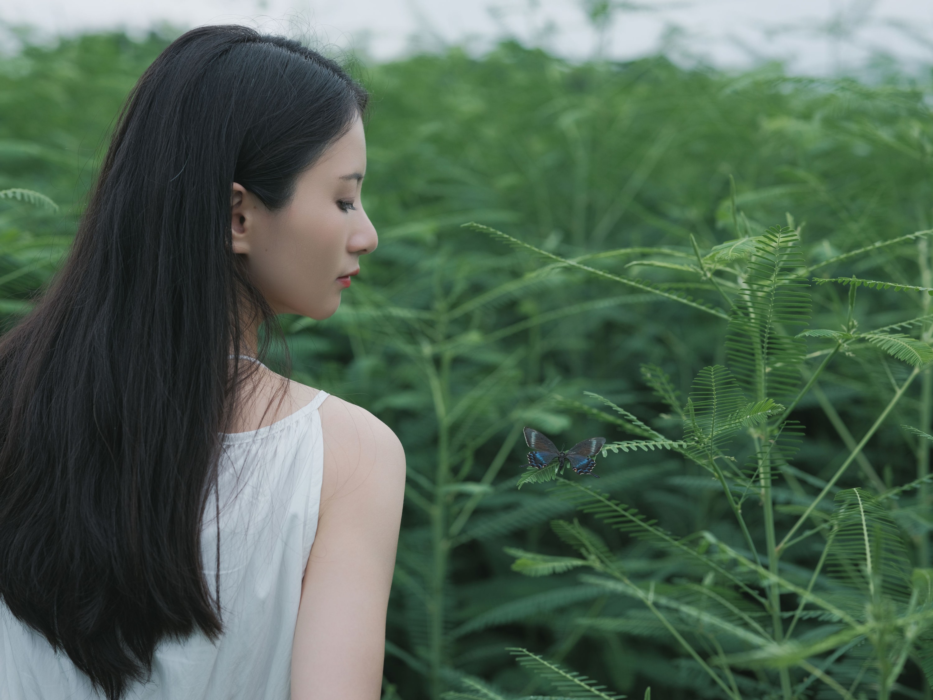 图片[6]-小昭 – 《花床少女》[40P]-COS写真在线网