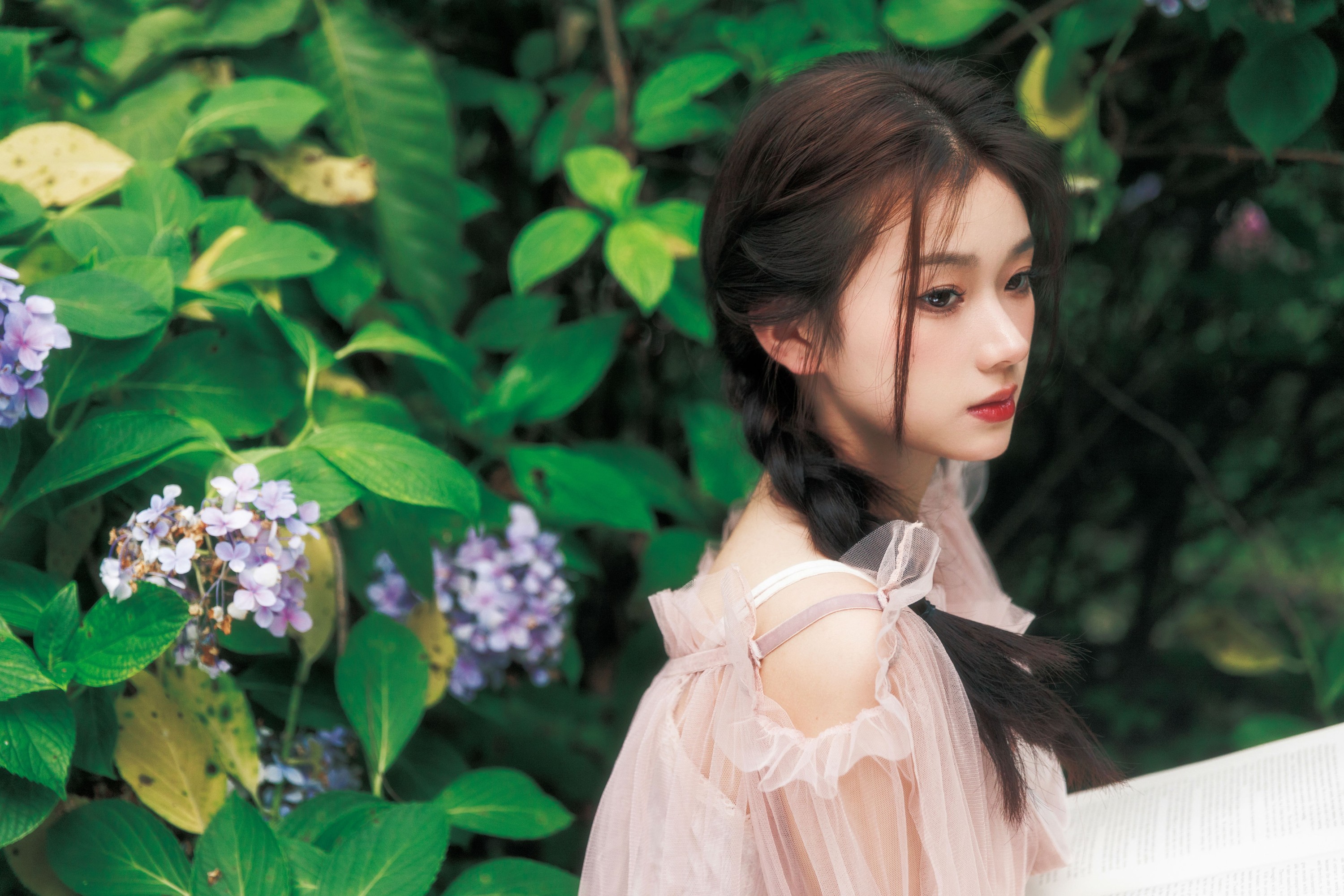 图片[3]-To小北 – 《花园里的夏天》[24P]-COS写真在线网