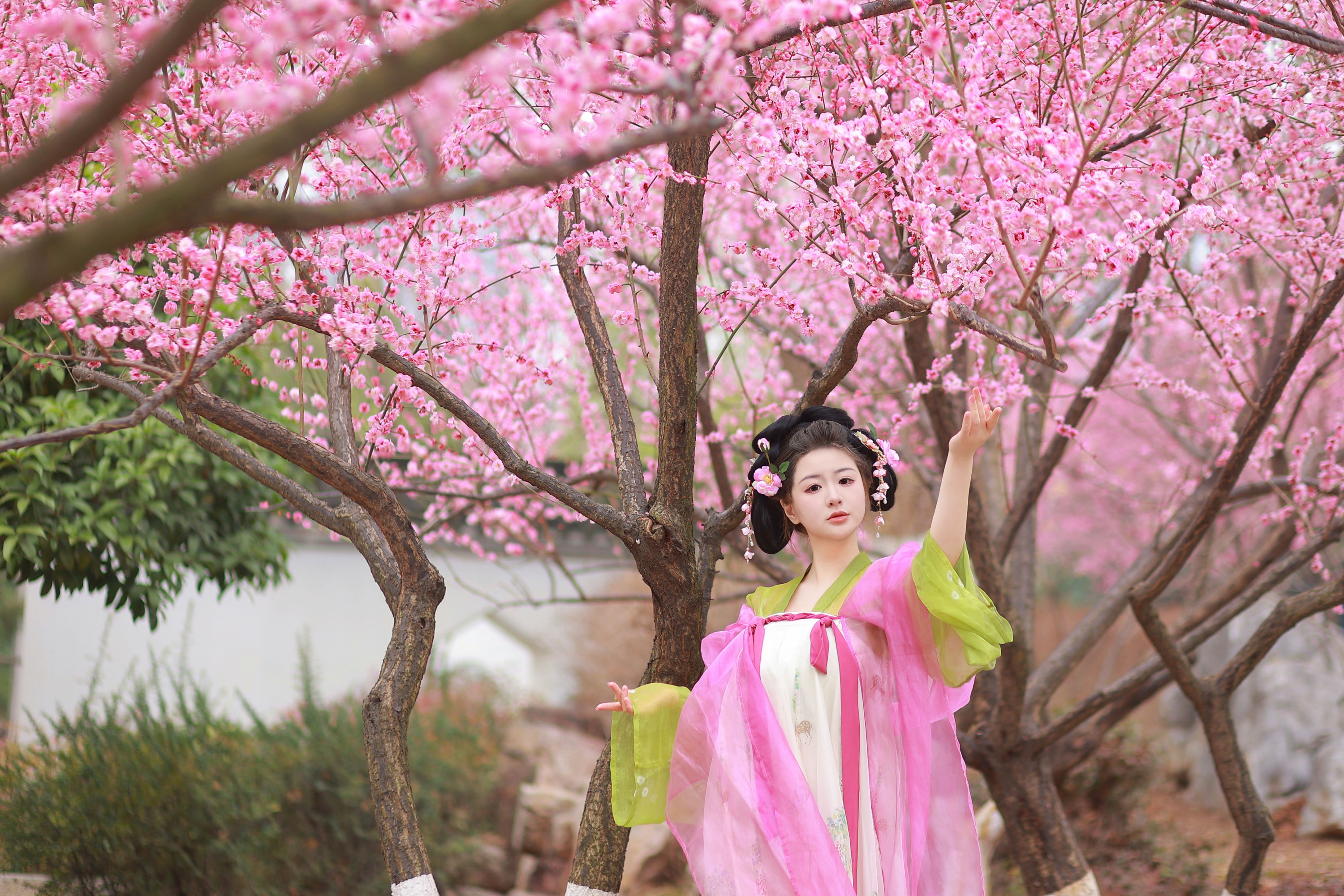 图片[3]-不可爱的禾禾喵 – 《赏梅》[28P]-COS写真在线网