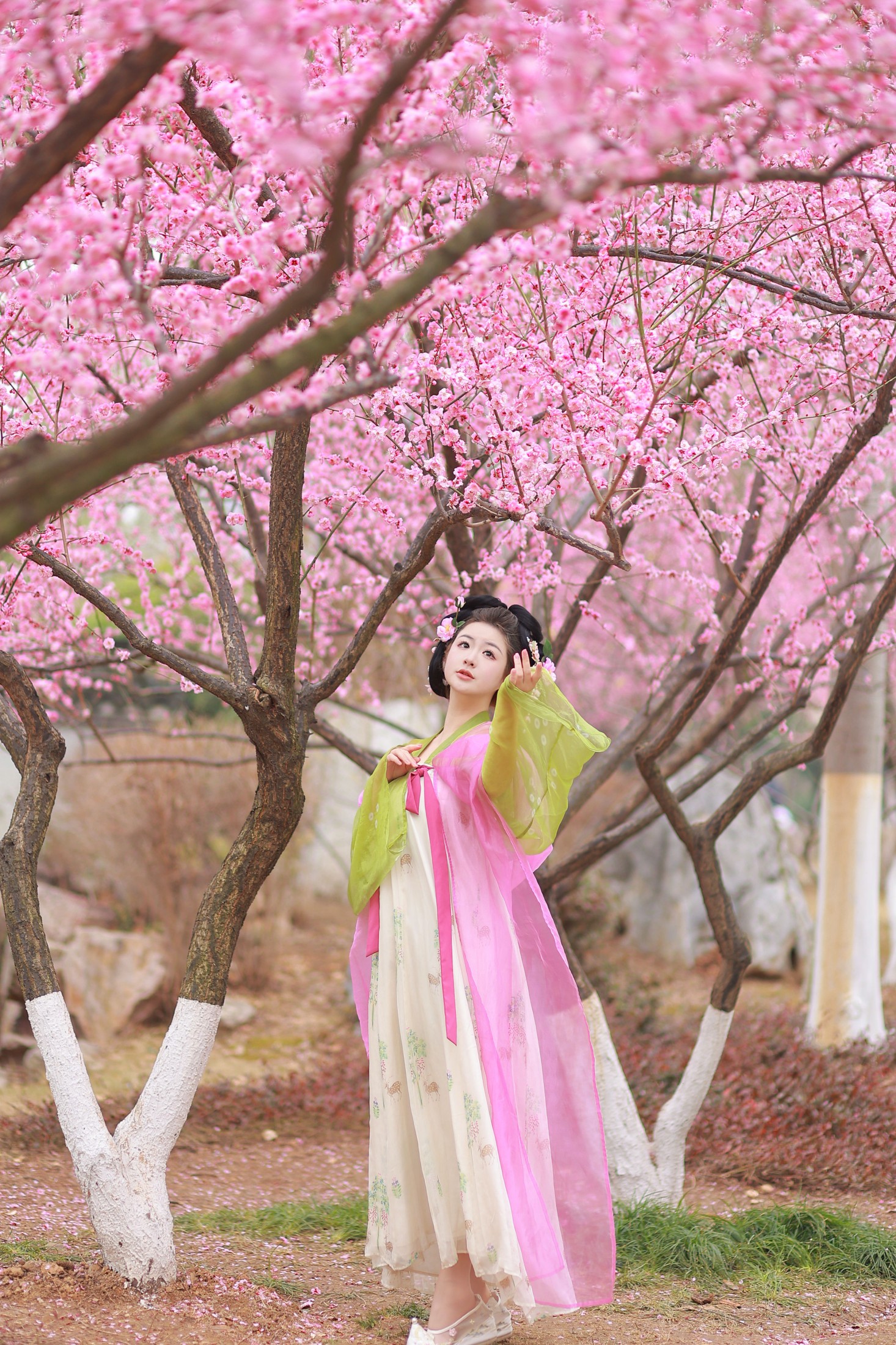 图片[5]-不可爱的禾禾喵 – 《赏梅》[28P]-COS写真在线网