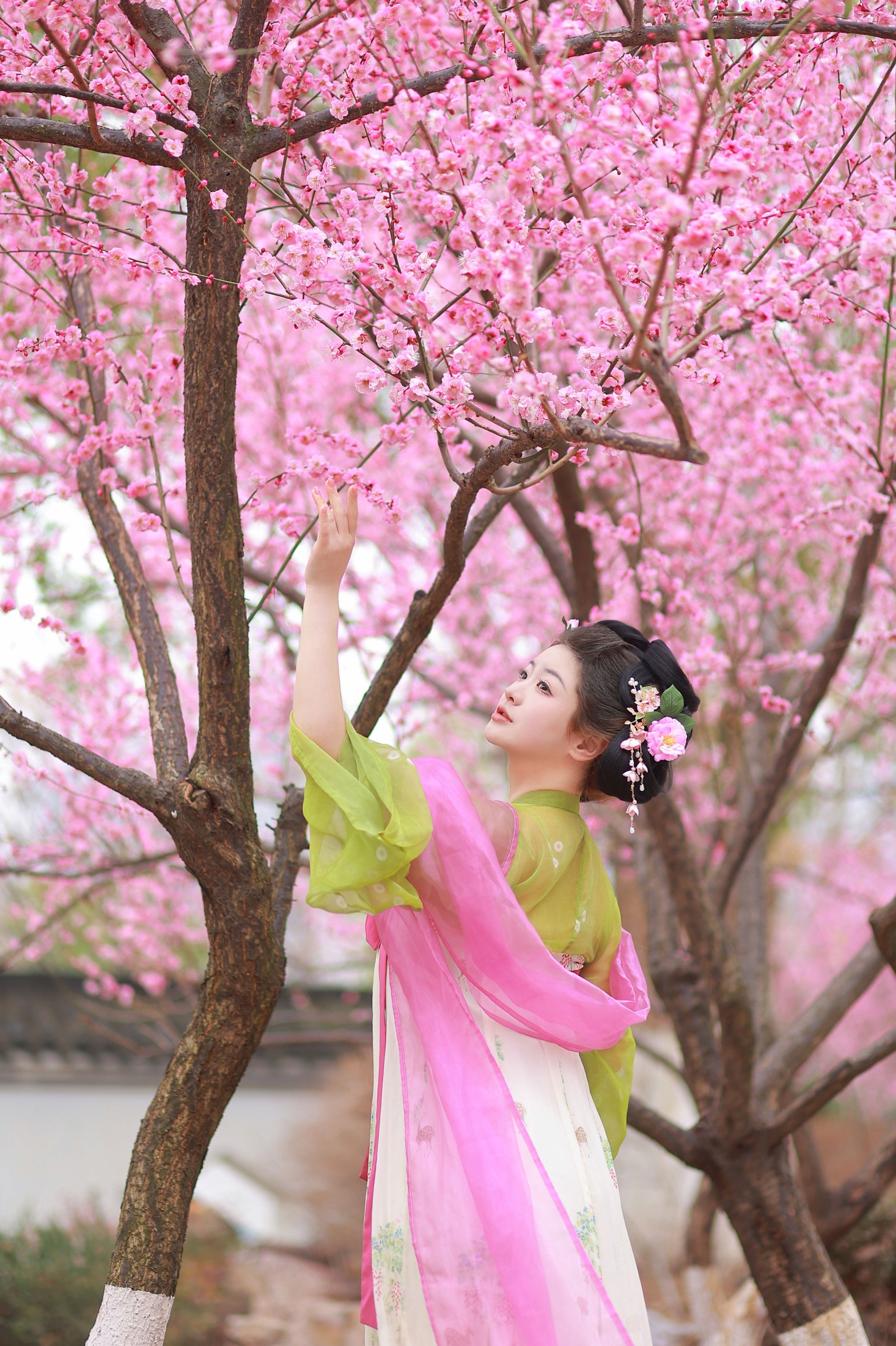 图片[4]-不可爱的禾禾喵 – 《赏梅》[28P]-COS写真在线网