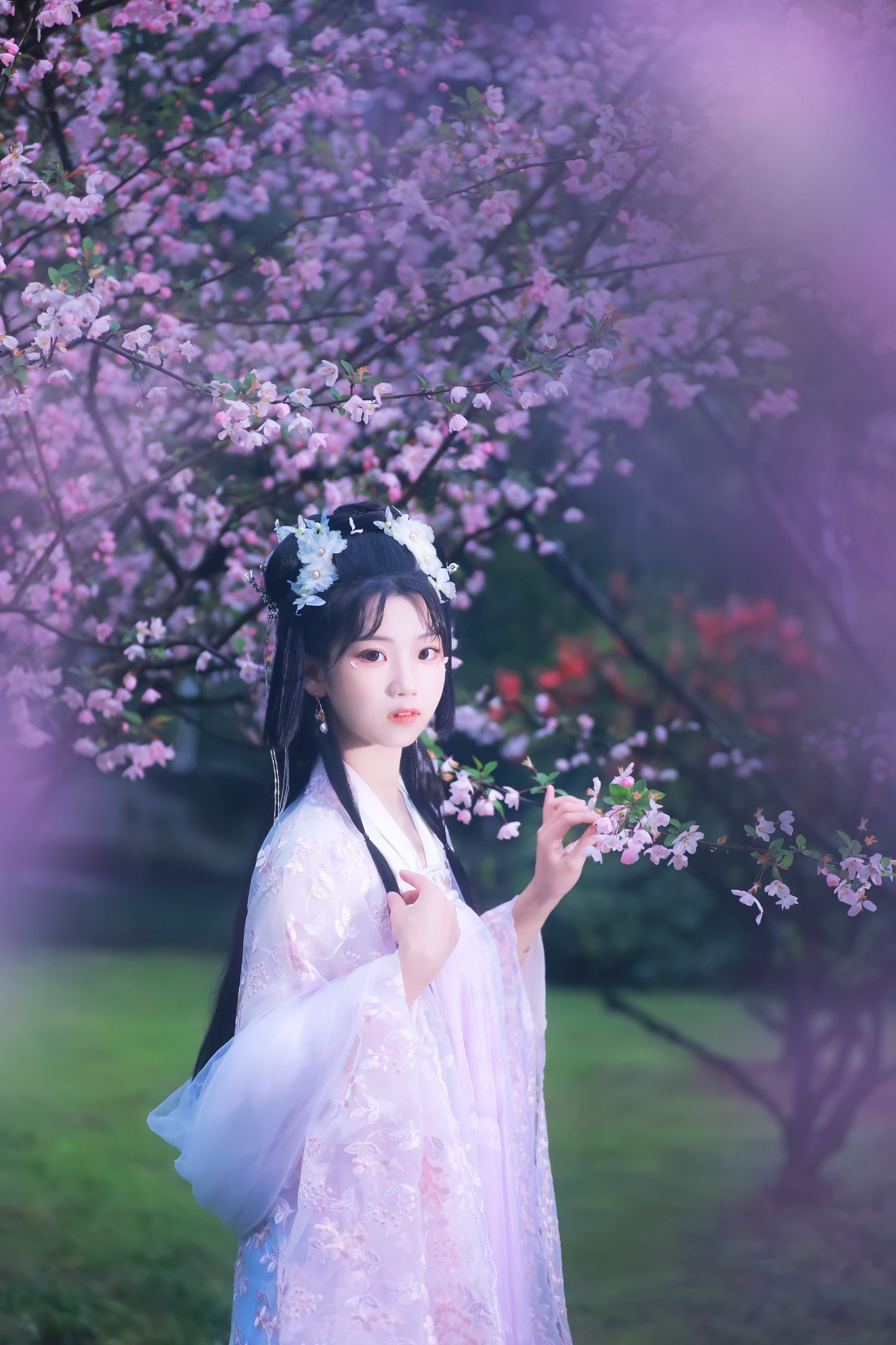 图片[6]-周周Ay – 《海棠依旧》[26P]-COS写真在线网