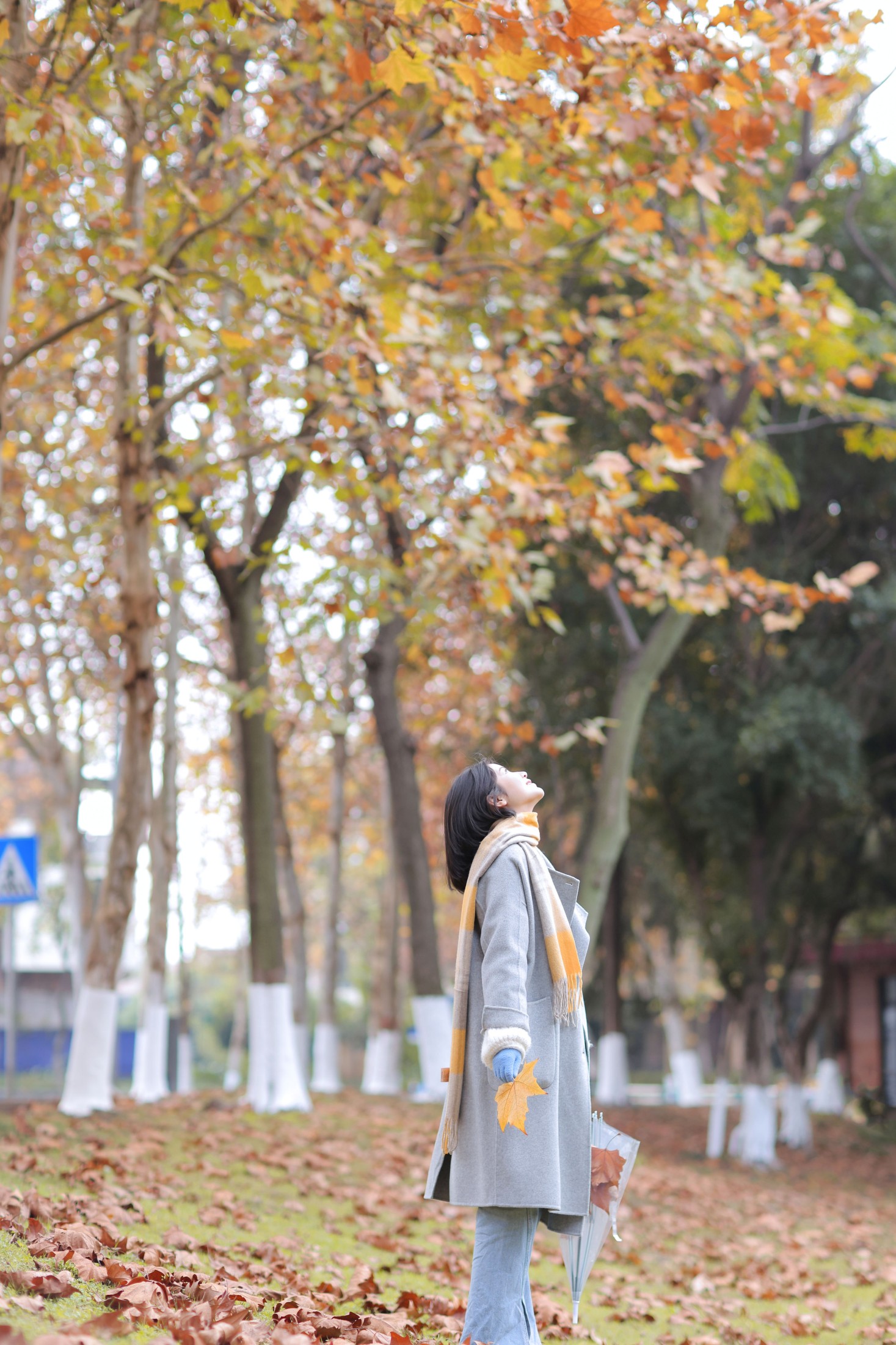 图片[6]-刘刘刘17 – 《夏天的遗憾会被秋风吹散》[22P]-COS写真在线网