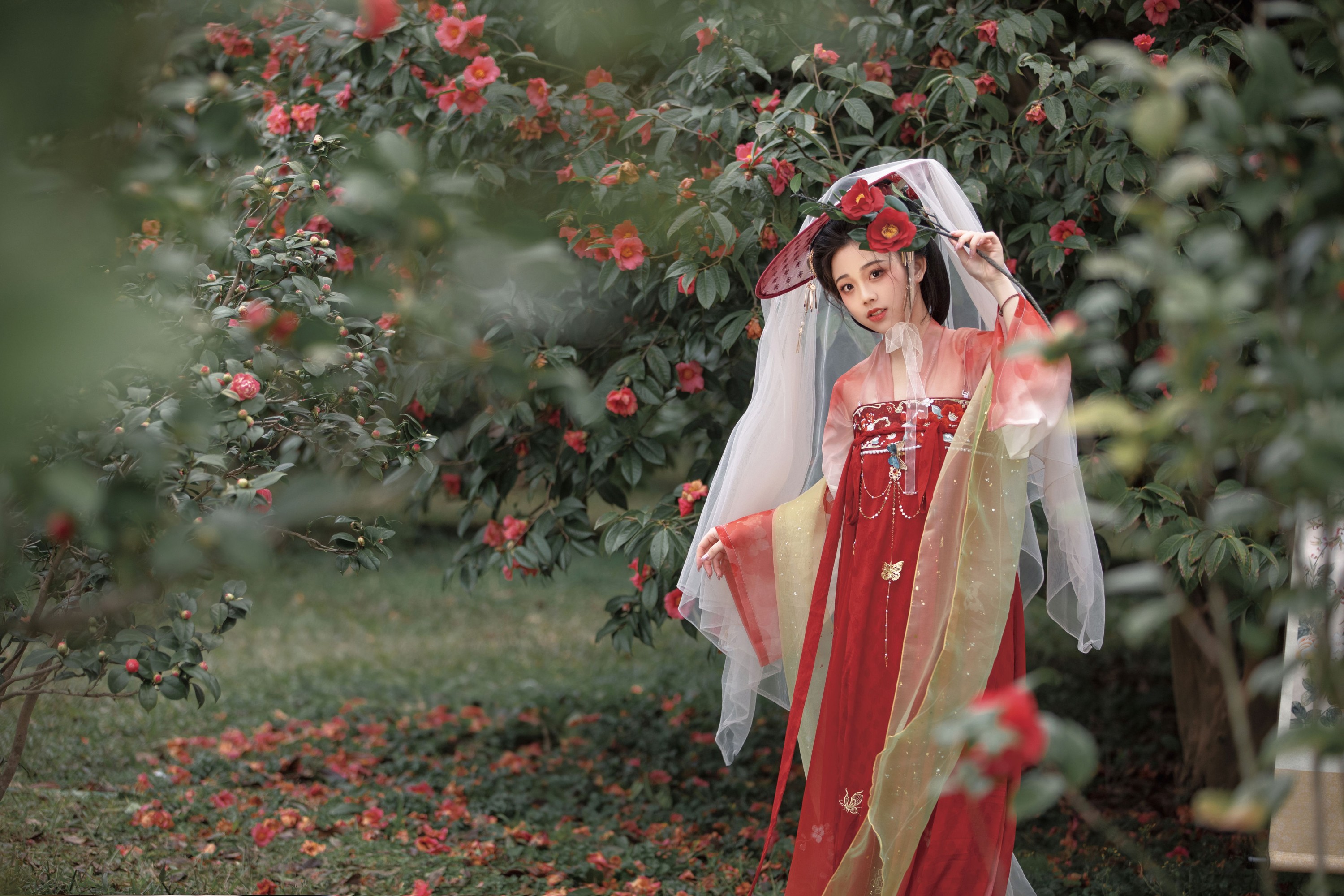 图片[6]-谨陬捌 – 《玉茗》[36P]-COS写真在线网