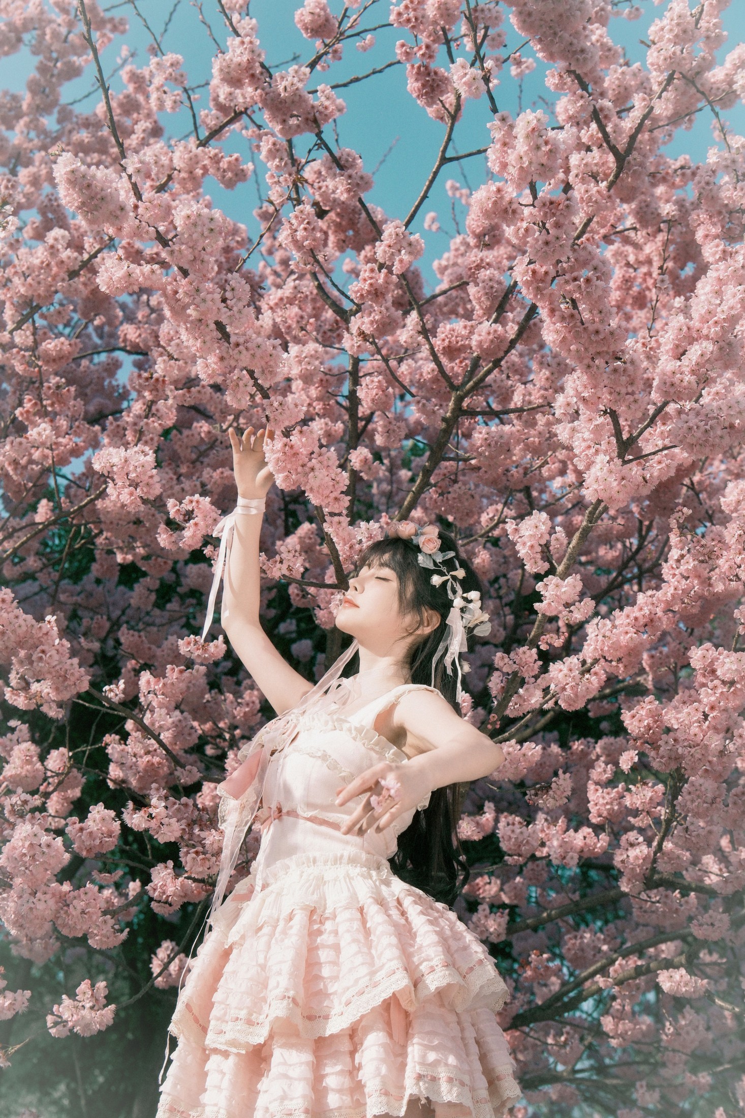 图片[6]-星之卡桃 – 《樱花少女梦》[28P]-COS写真在线网