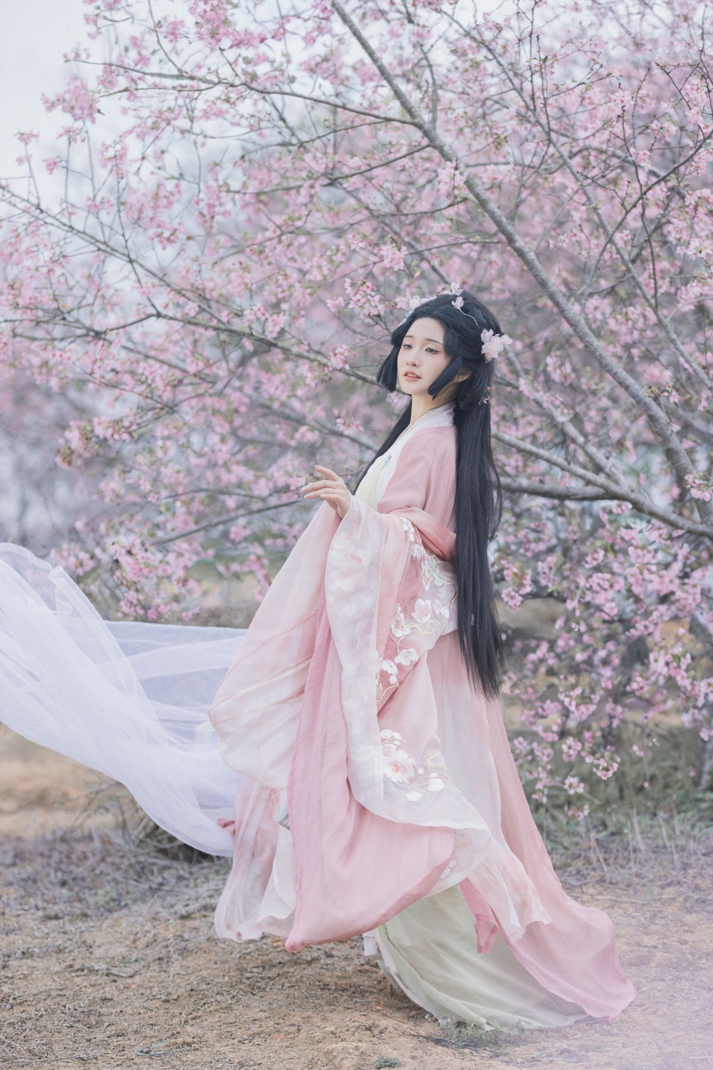 图片[6]-希希 – 《落樱》[23P]-COS写真在线网